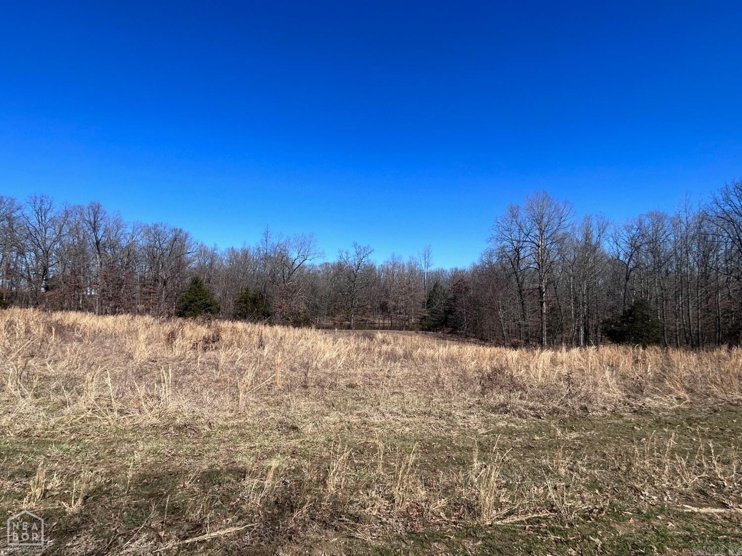 920 Highway 25  Strawberry, AR