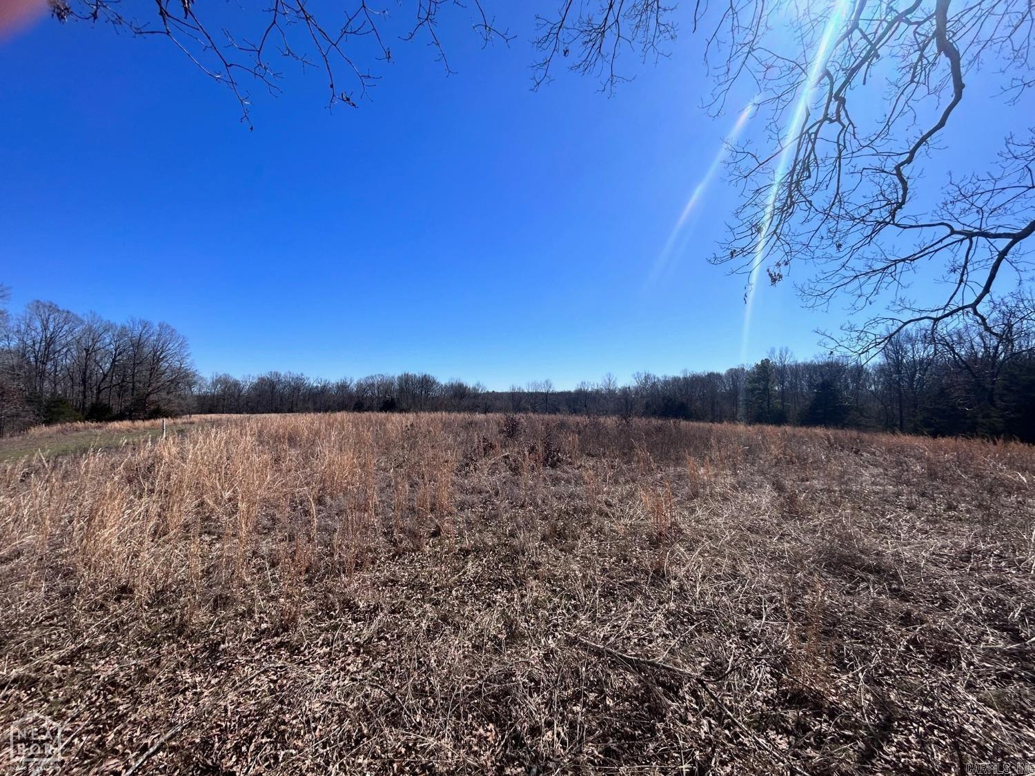 920 Highway 25  Strawberry, AR