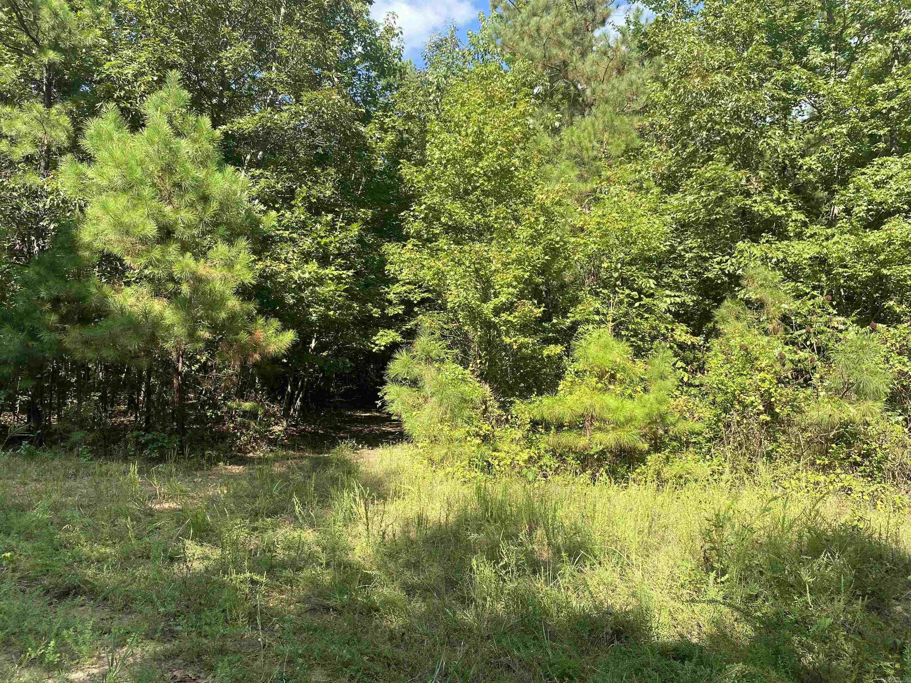 000 broomfield  Dover, AR