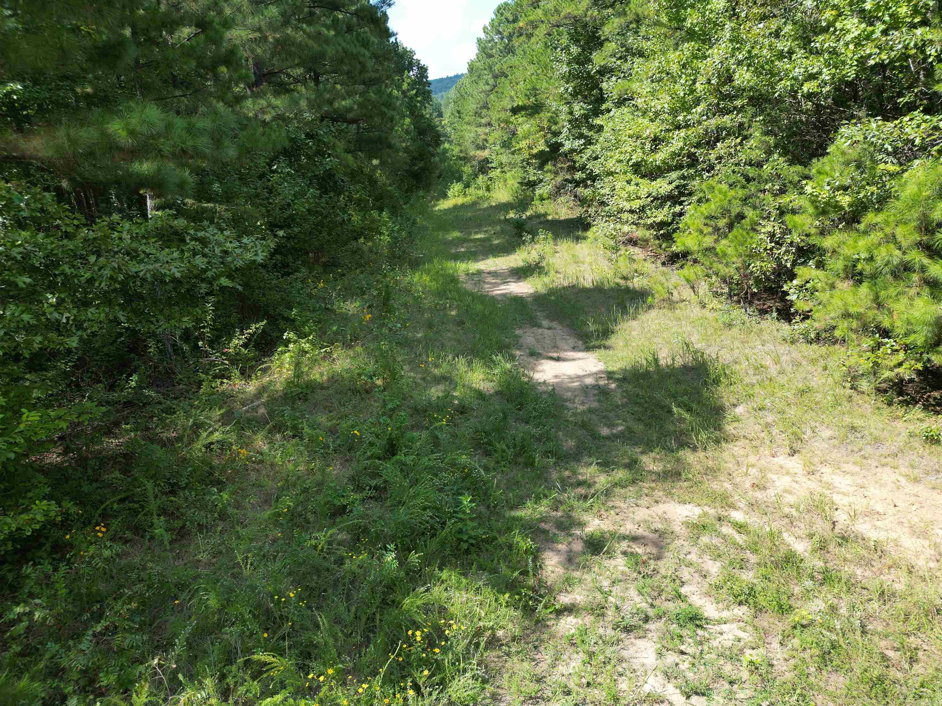 000 broomfield  Dover, AR