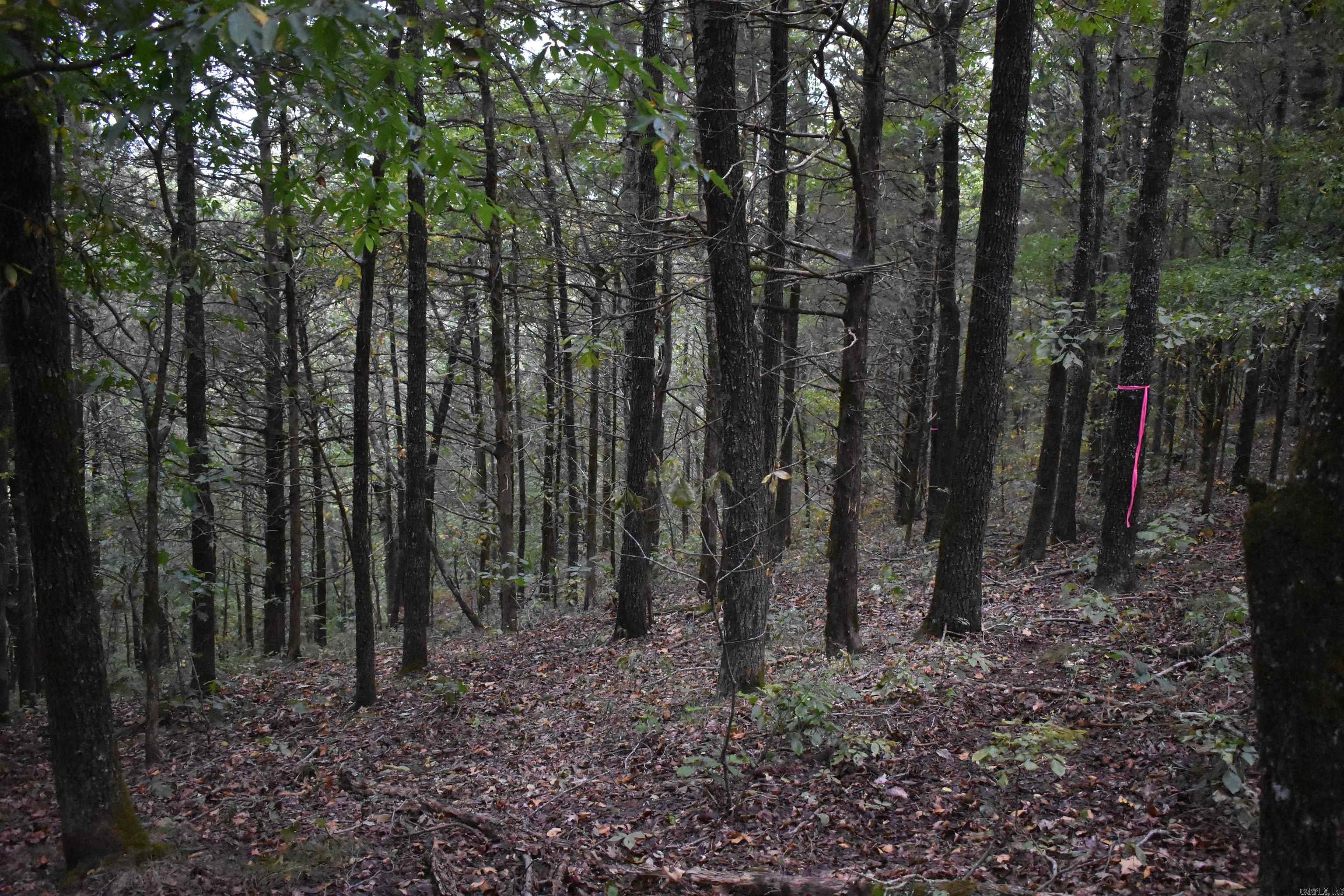  King Lp  Judsonia, AR