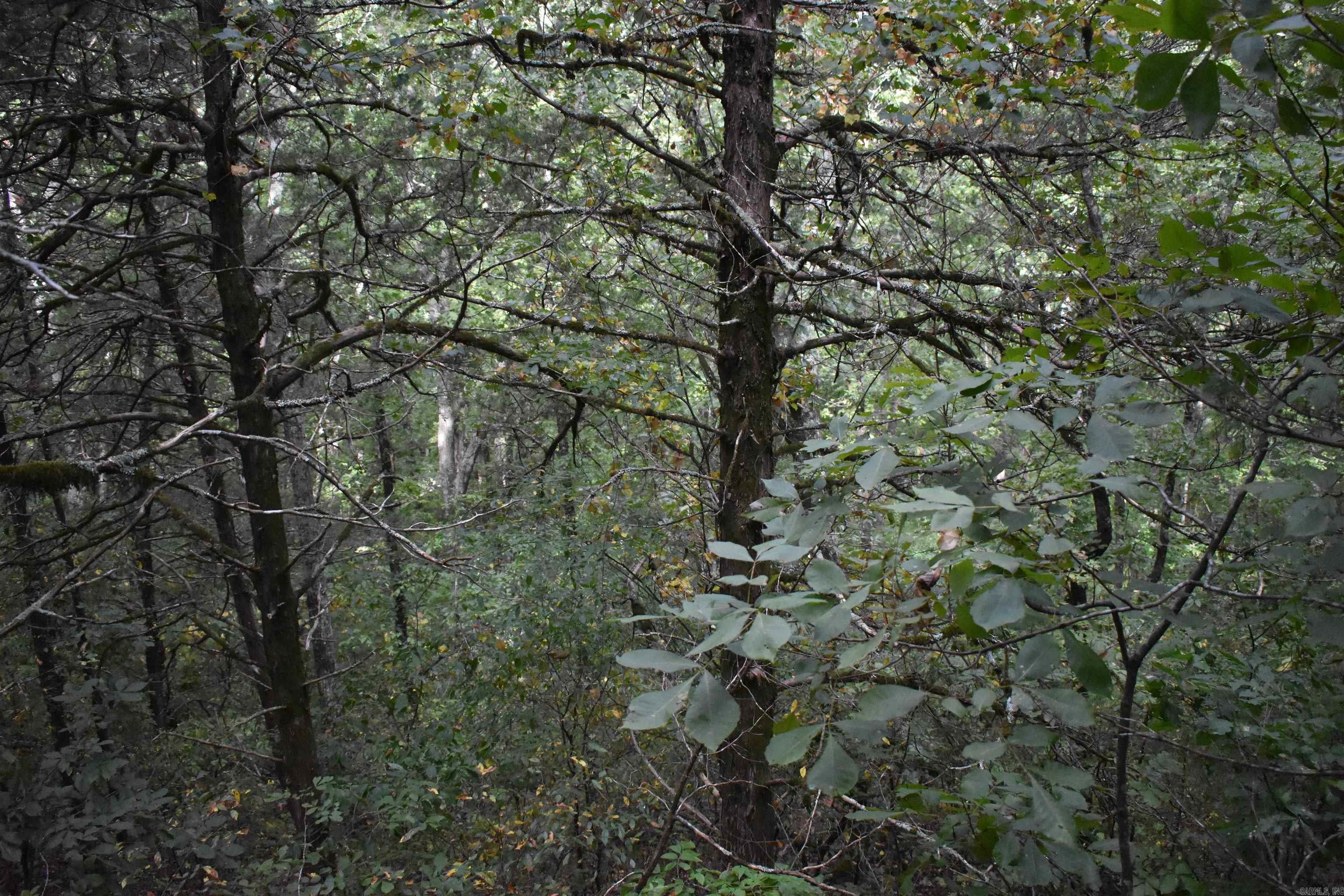  King Lp  Judsonia, AR