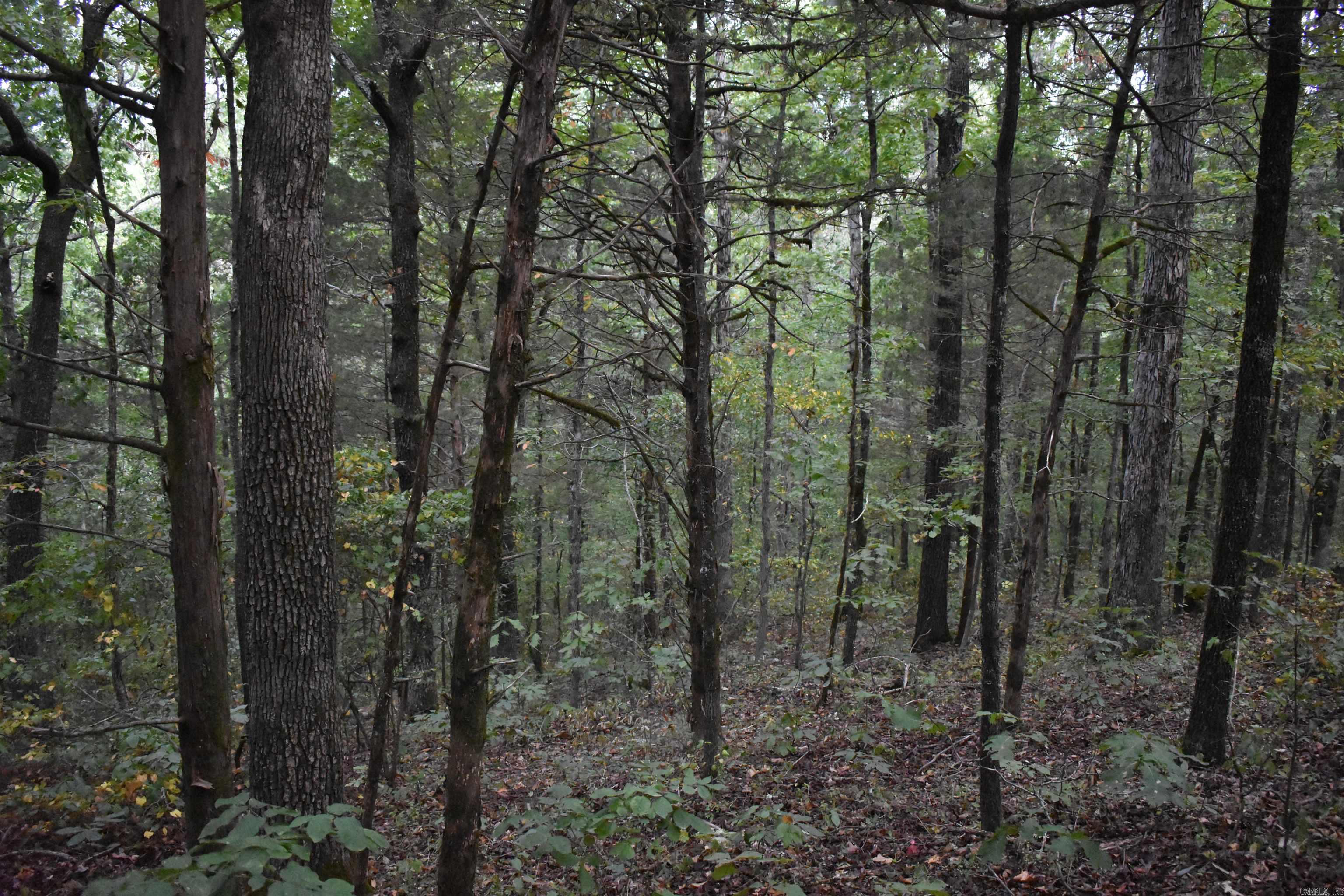  King Lp  Judsonia, AR