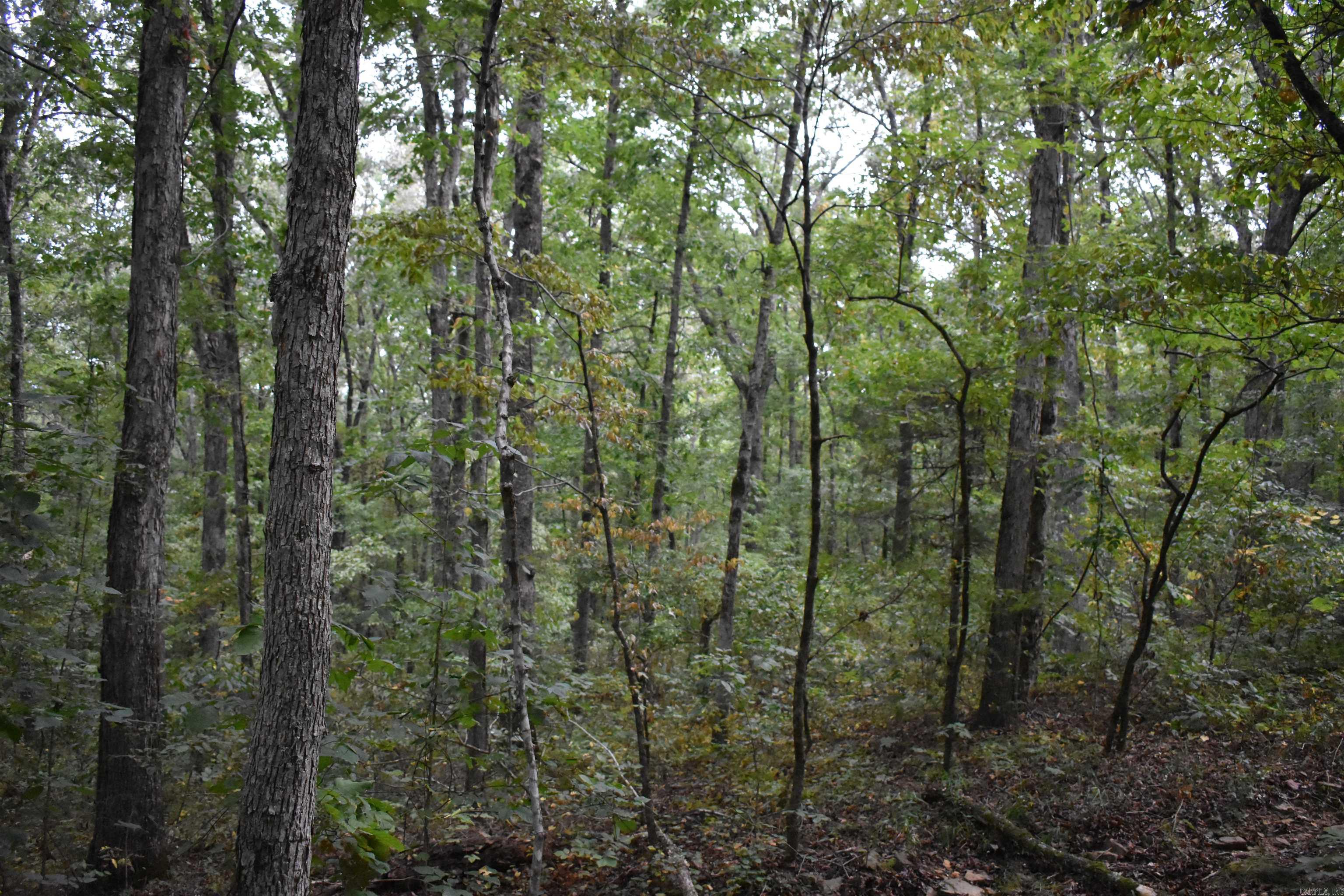  King Lp  Judsonia, AR
