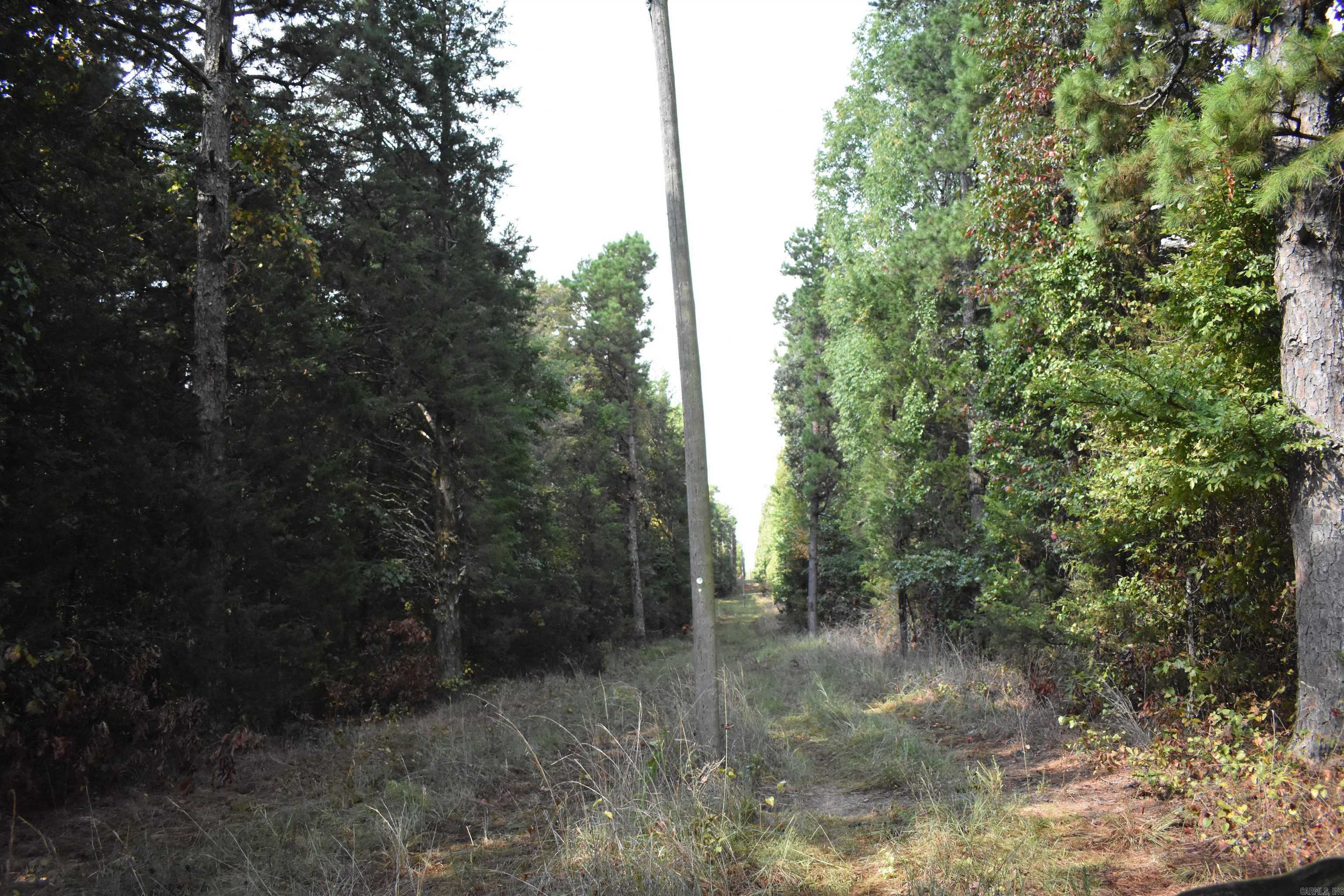  King Lp  Judsonia, AR