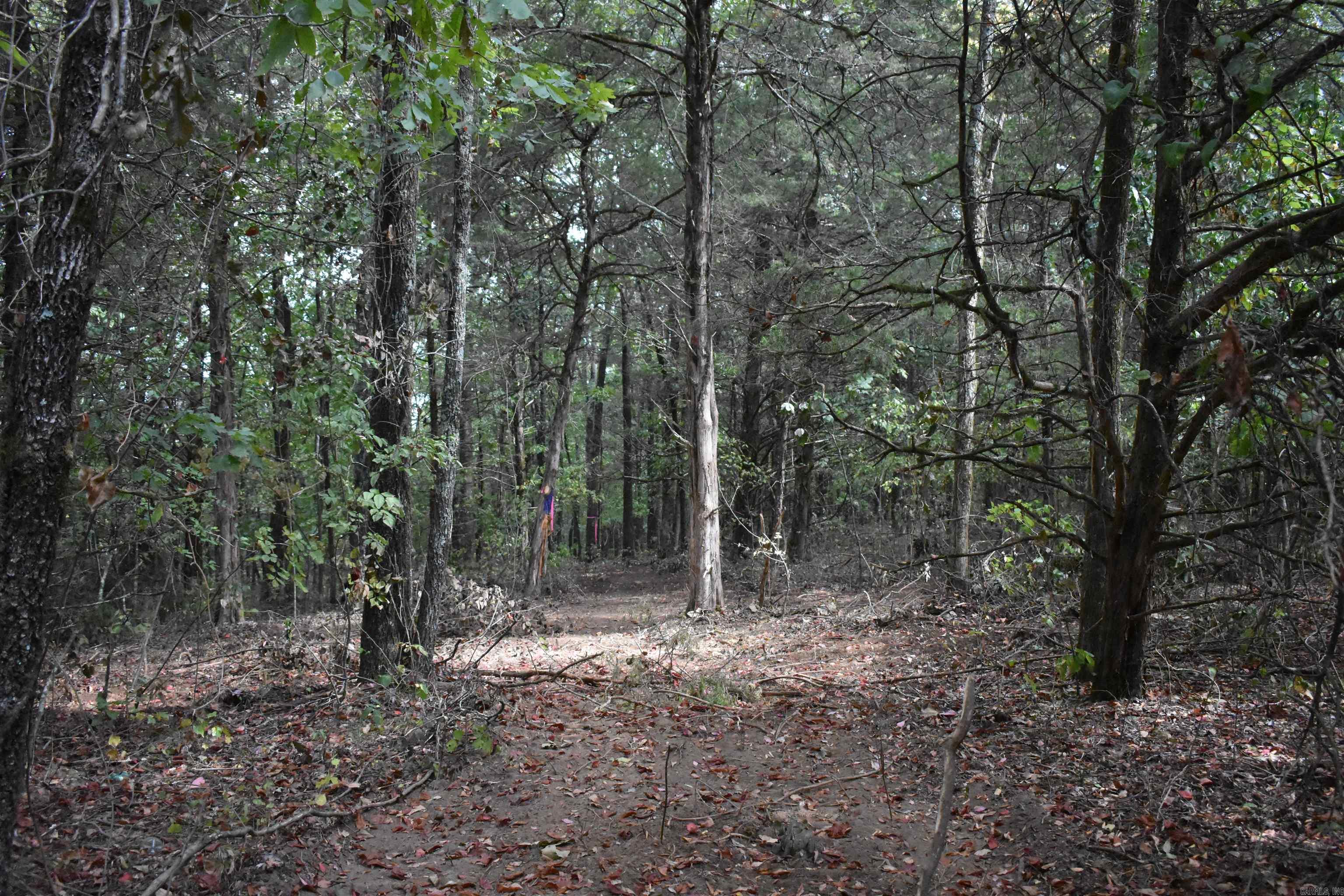  King Lp  Judsonia, AR