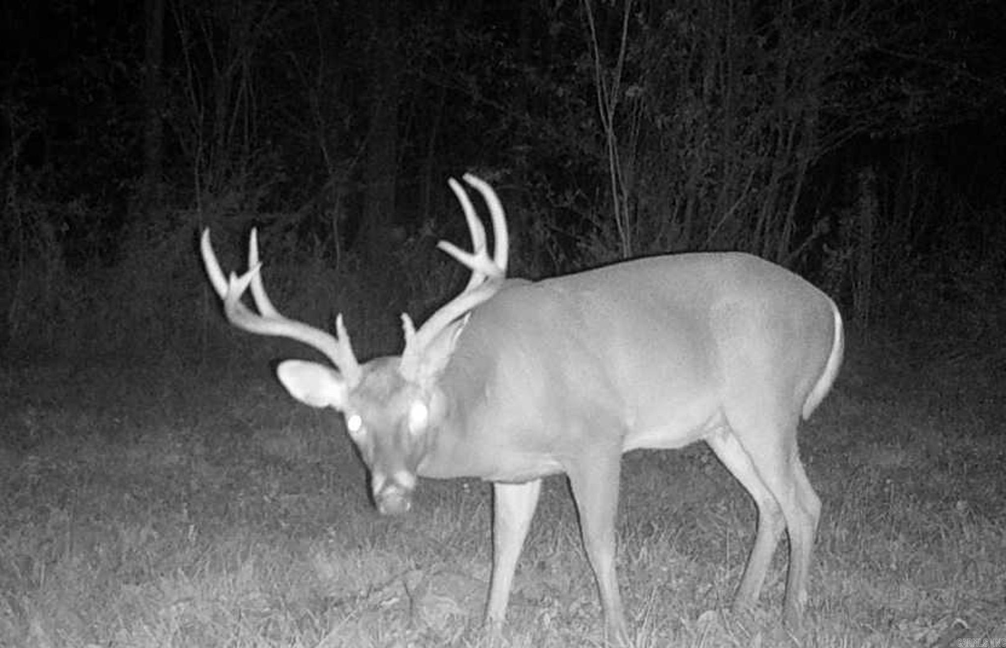 TBD MC 65  Texarkana, AR
