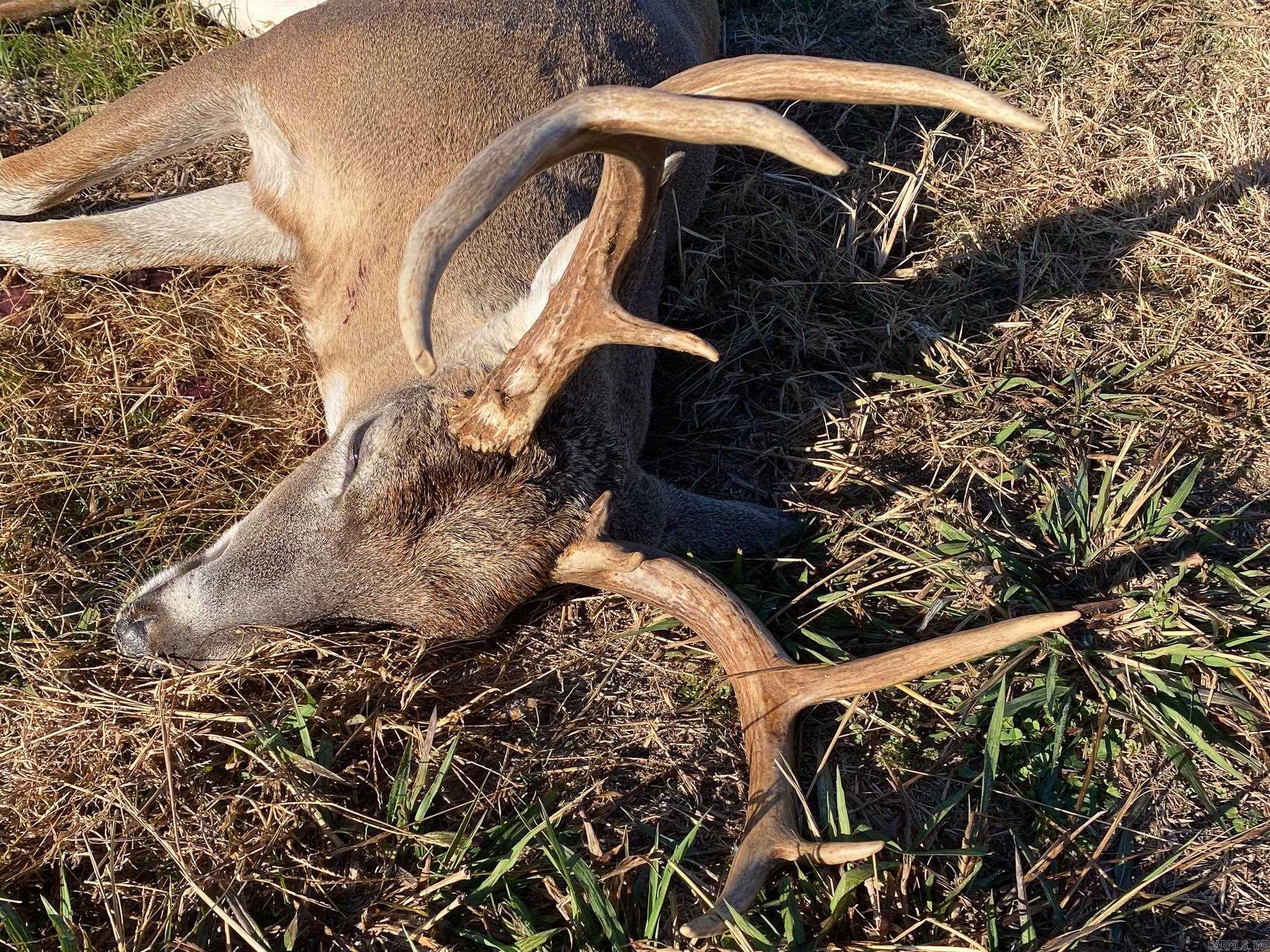 TBD MC 65  Texarkana, AR