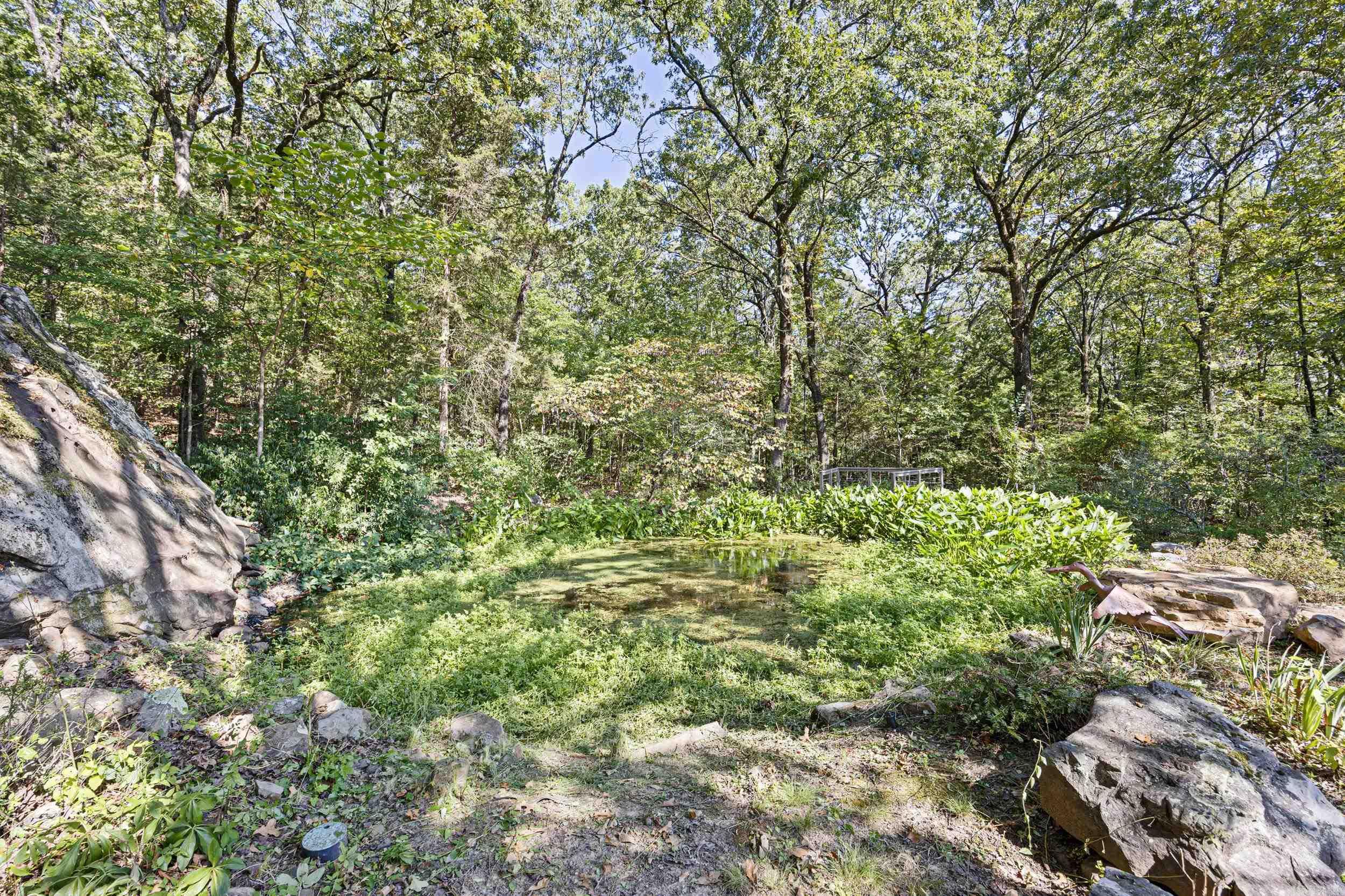 53 64 75 Pawpaw Bend  Morrilton, AR