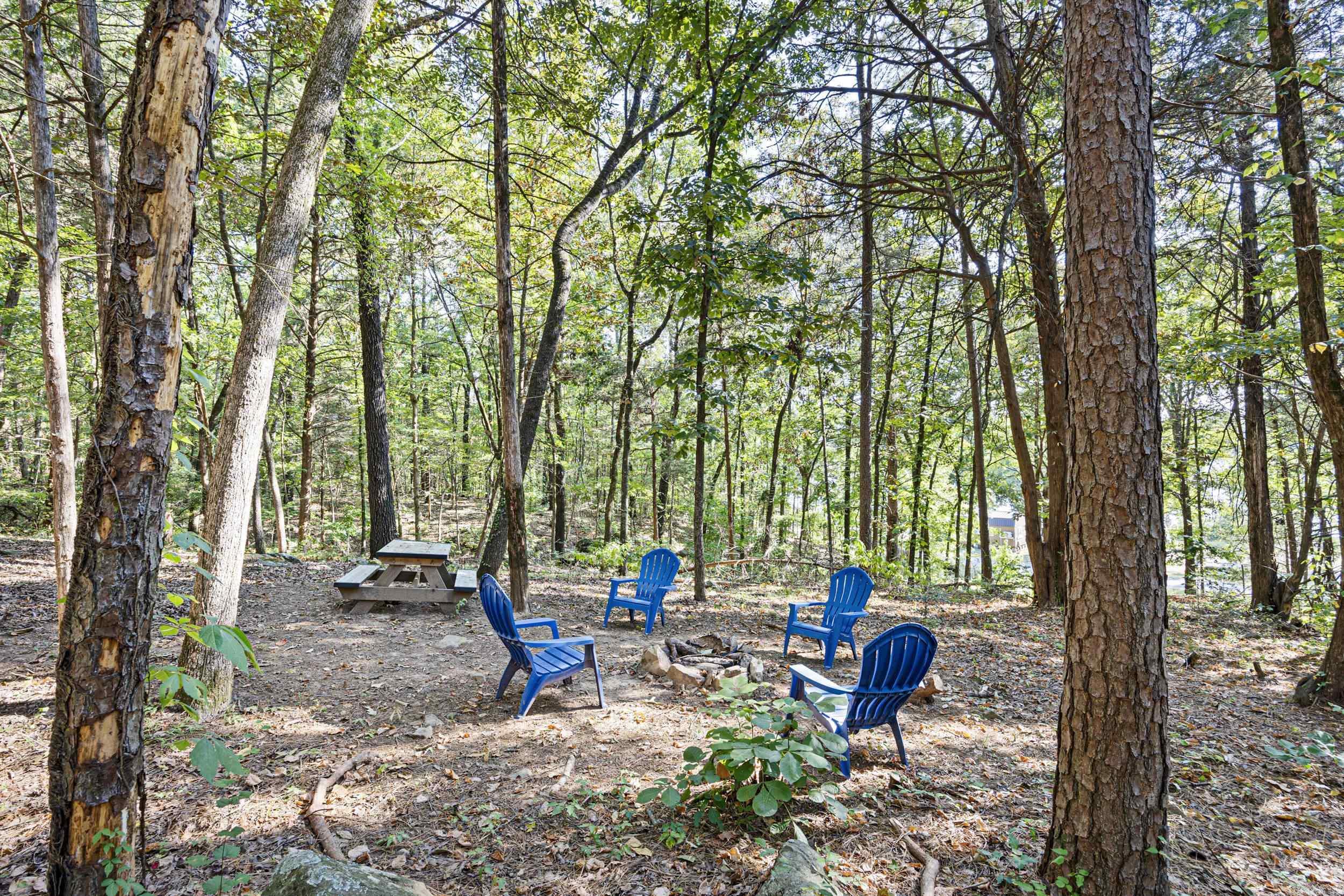 53 64 75 Pawpaw Bend  Morrilton, AR