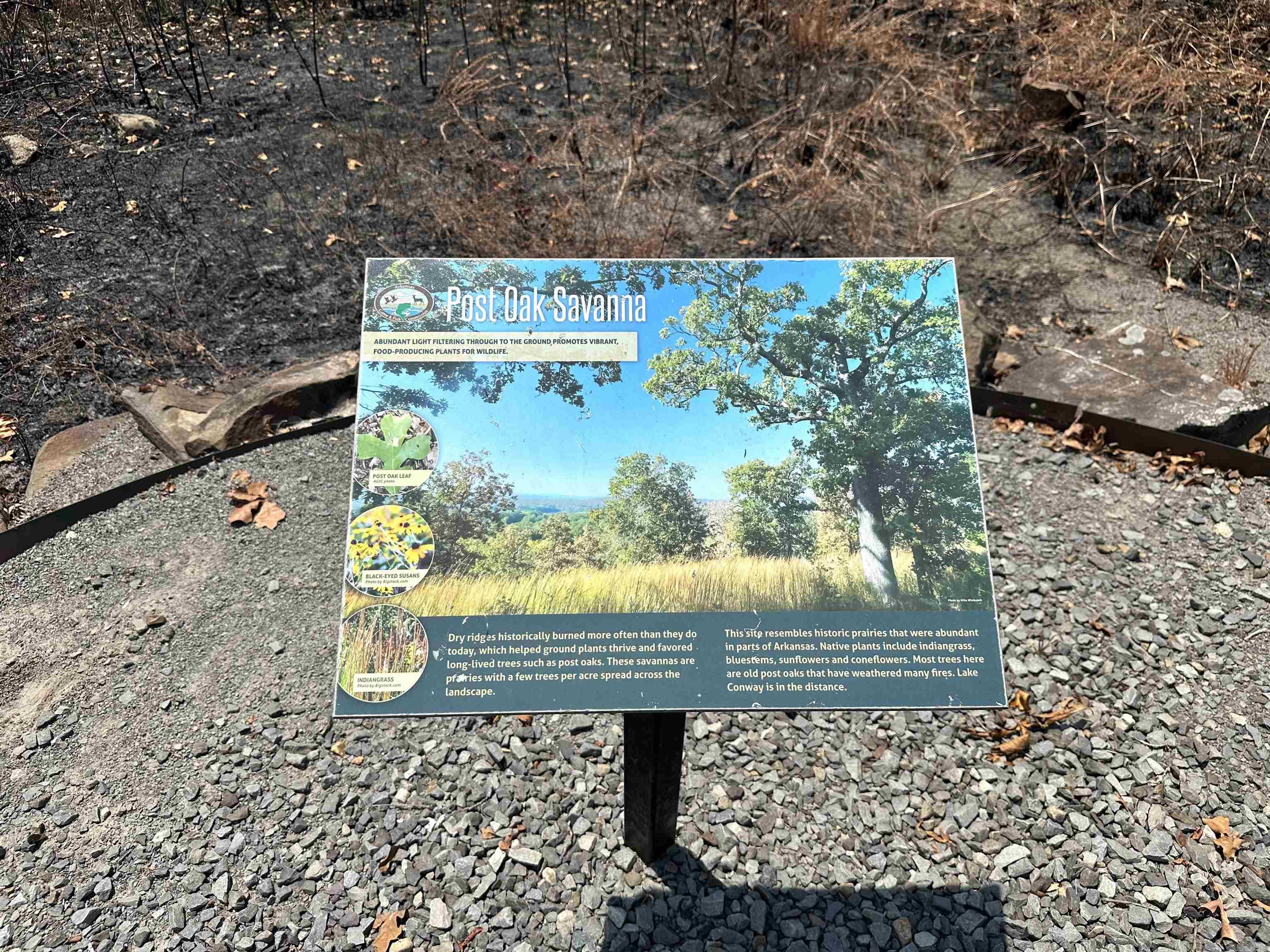 PT Lot 26 Phase 1 Green Lake Est  Conway, AR