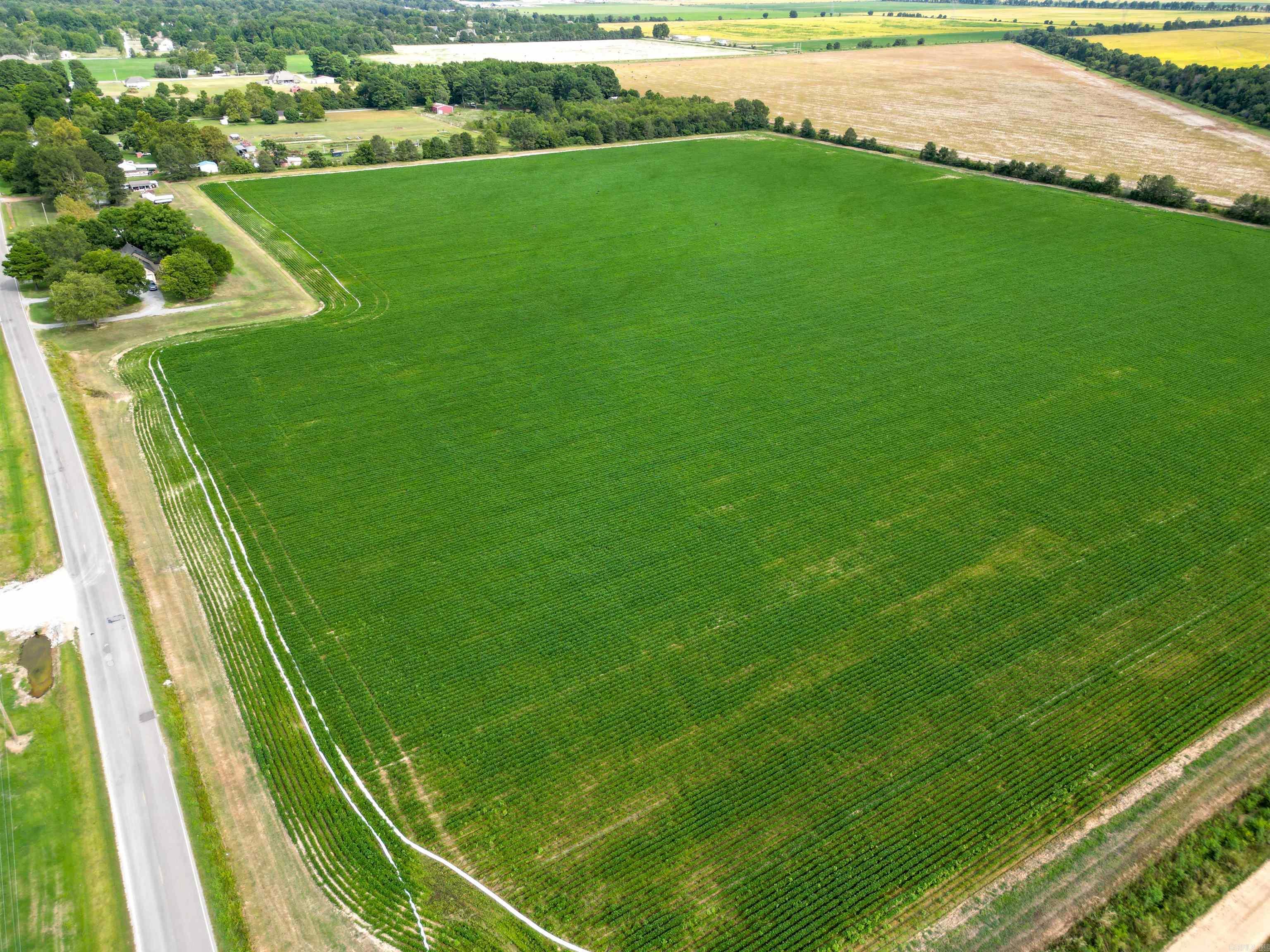 41 Acres County Road 425  Jonesboro, AR