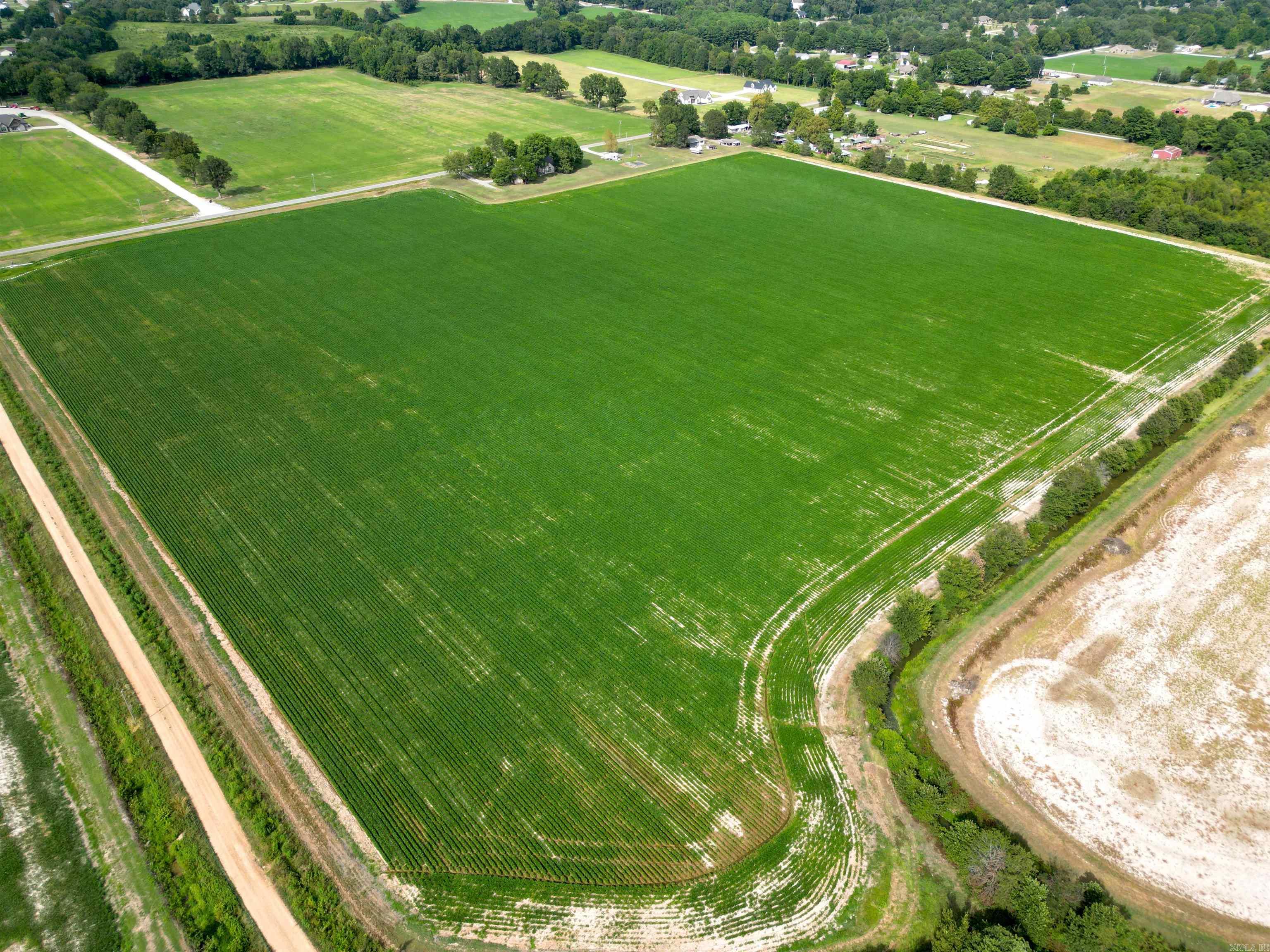 41 Acres County Road 425  Jonesboro, AR