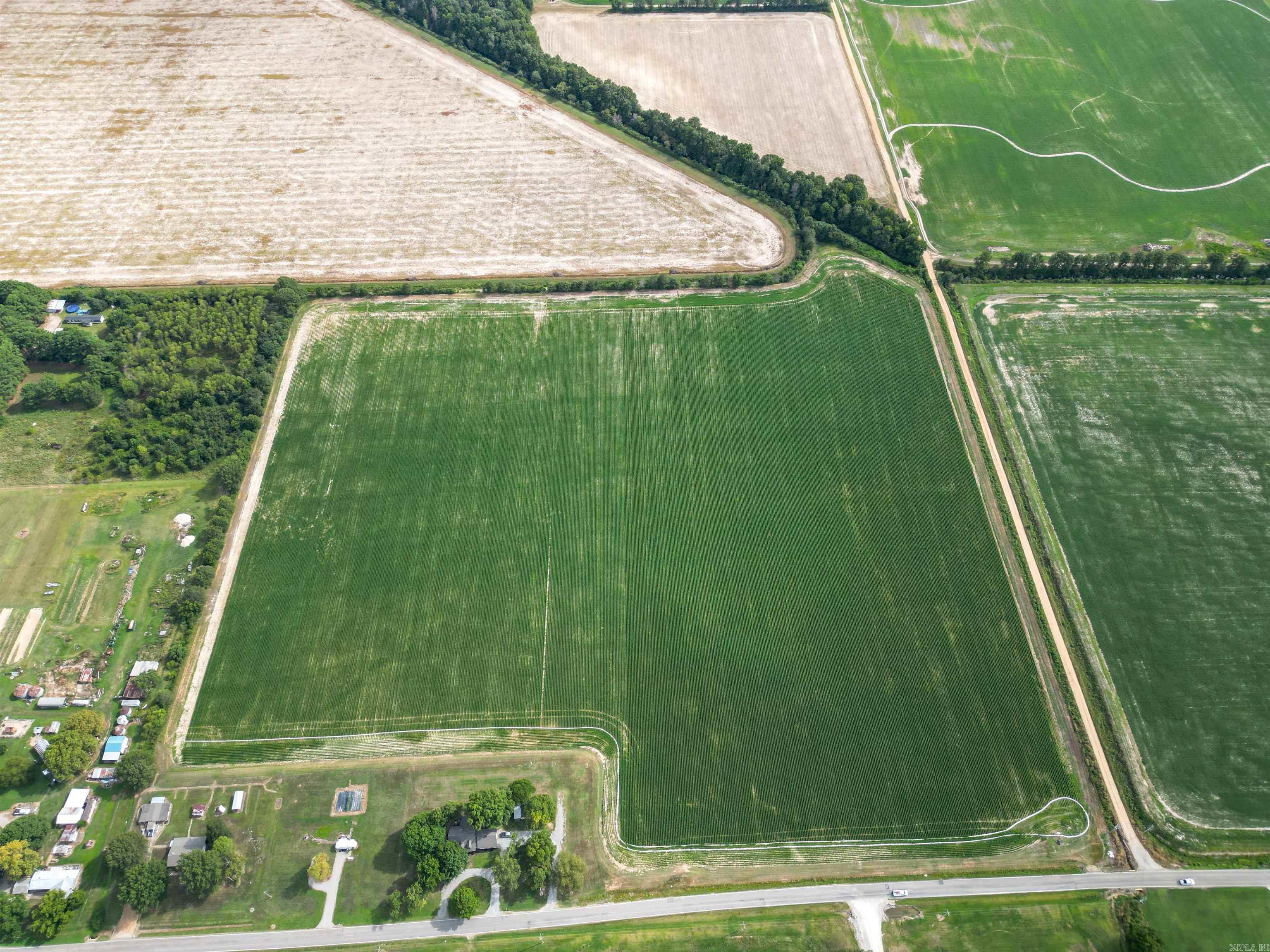 41 Acres County Road 425  Jonesboro, AR