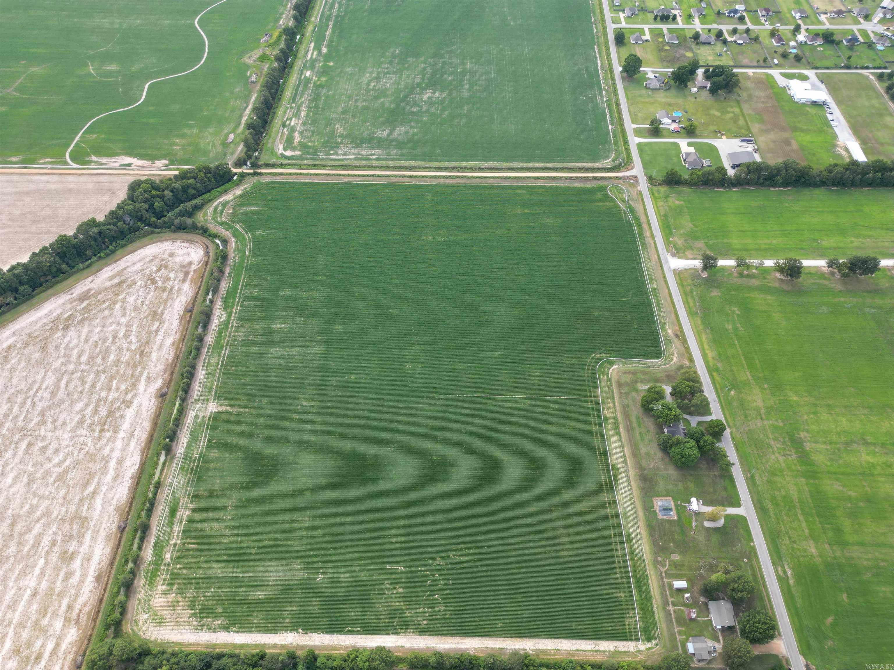 41 Acres County Road 425  Jonesboro, AR