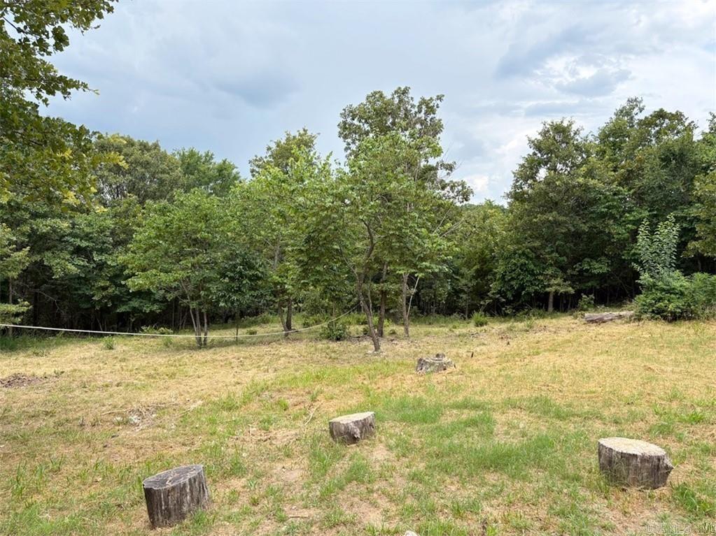 229 Sassafras  Peel, AR