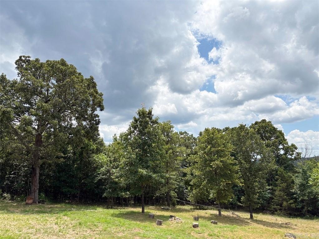 229 Sassafras  Peel, AR