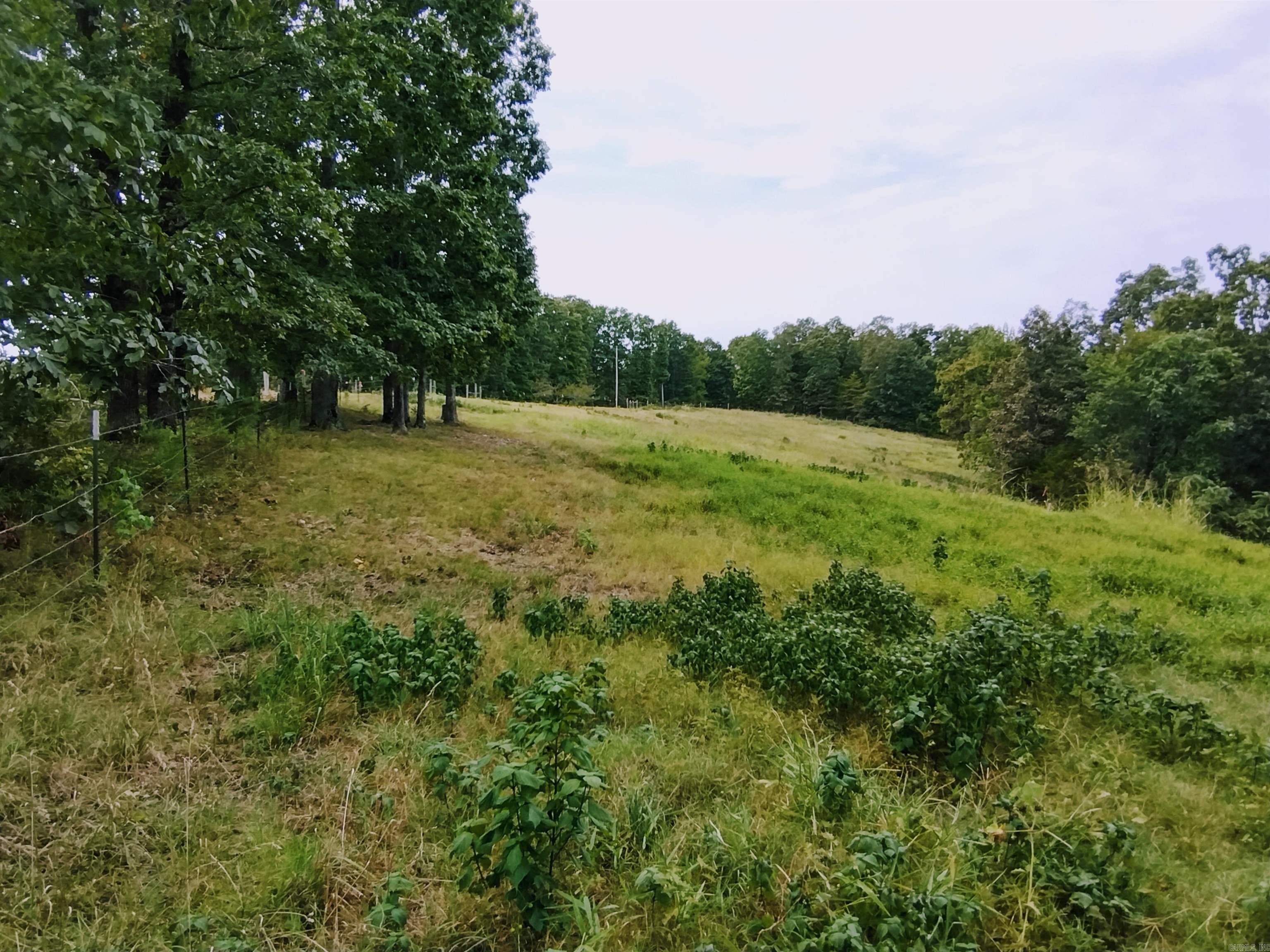 2777 Herpel Rd  Mountain View, AR