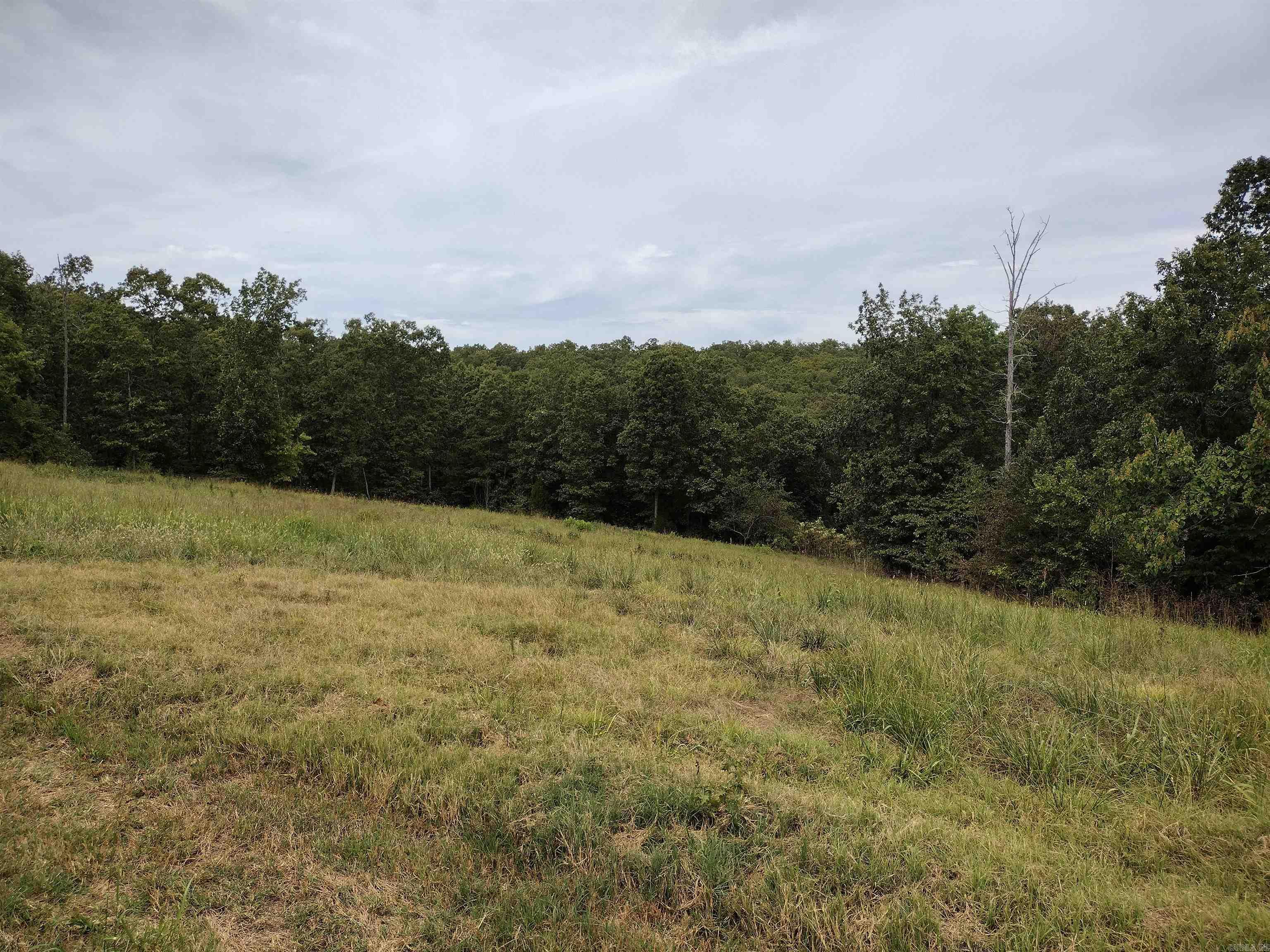2777 Herpel Rd  Mountain View, AR