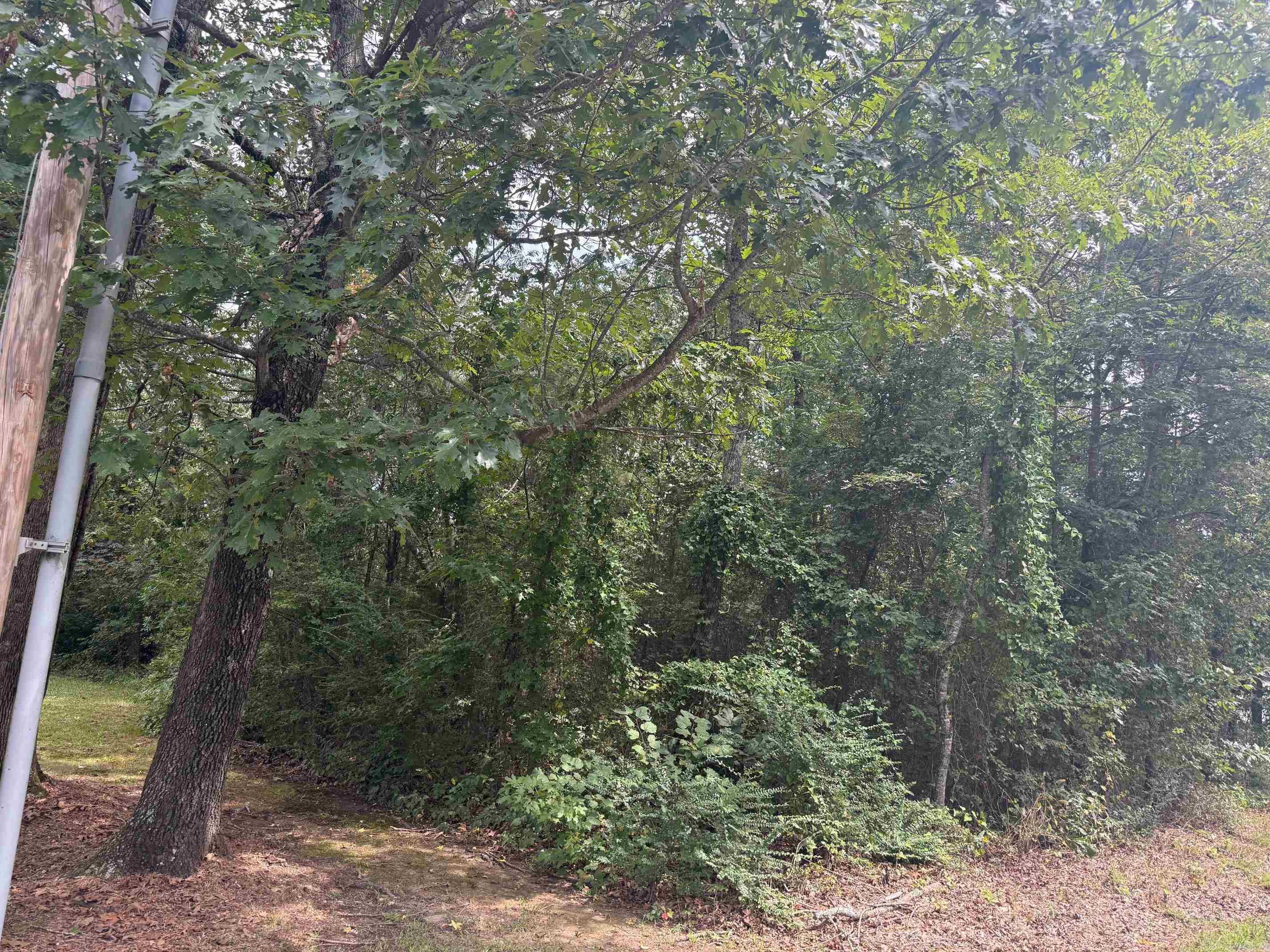 TBD Wertz St  Mena, AR