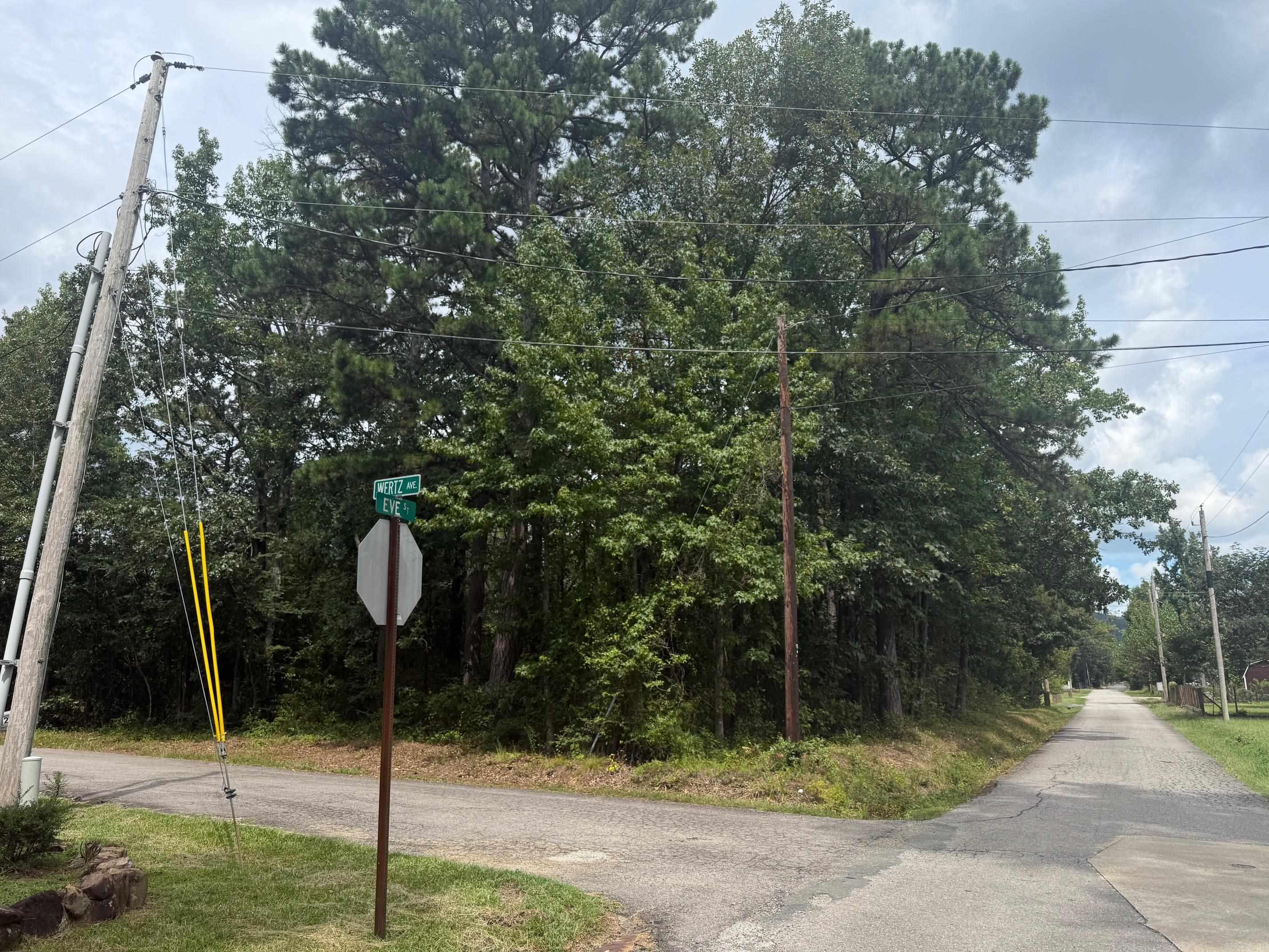 TBD Wertz St  Mena, AR