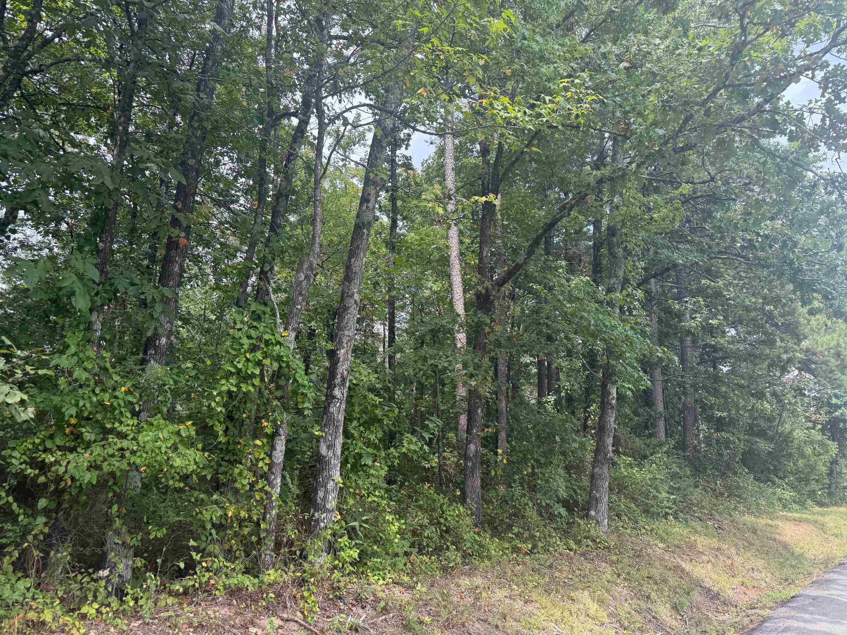 TBD Wertz St  Mena, AR