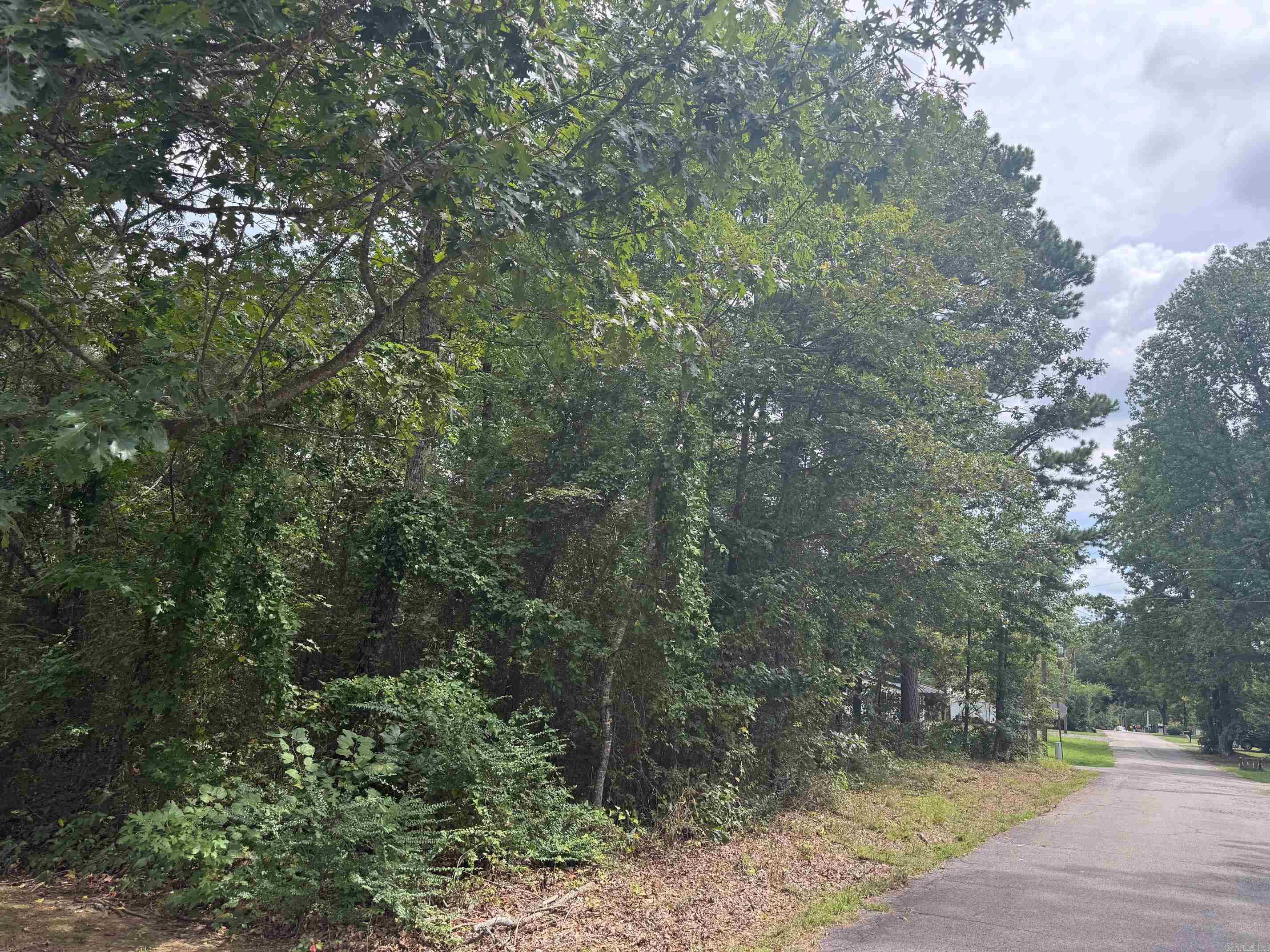 TBD Wertz St  Mena, AR