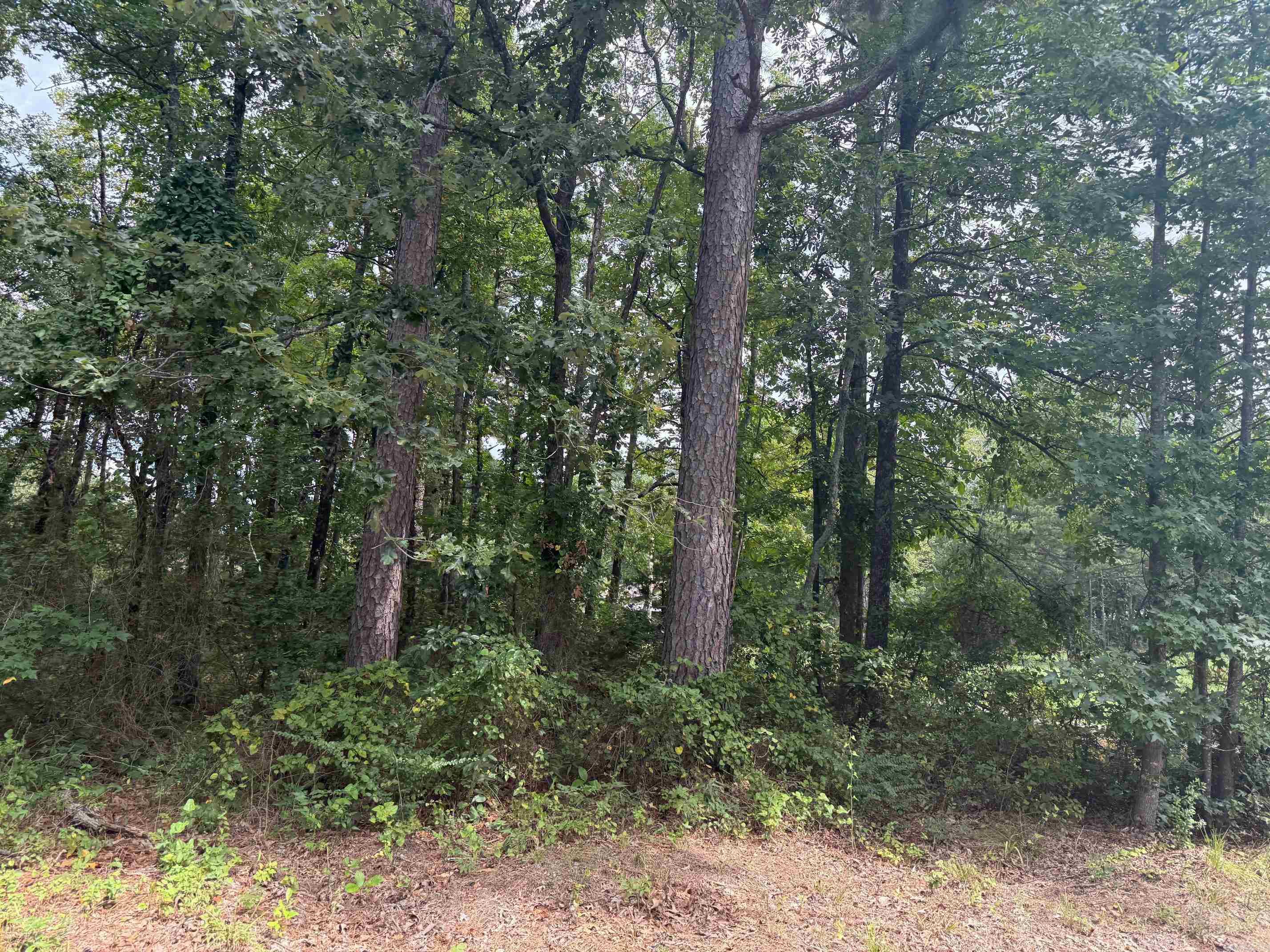 TBD Wertz St  Mena, AR