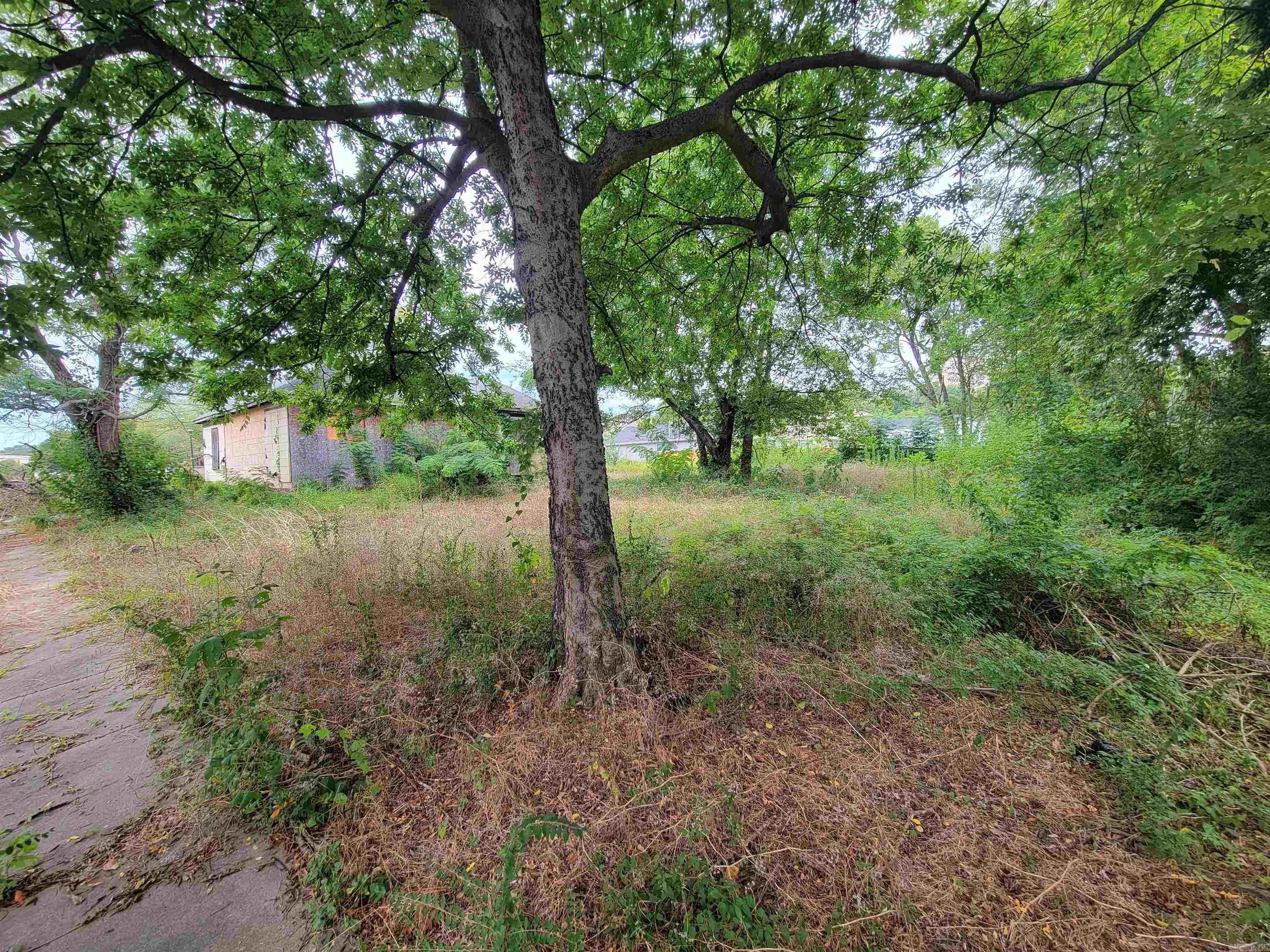 2723 Cumberland  Little Rock, AR