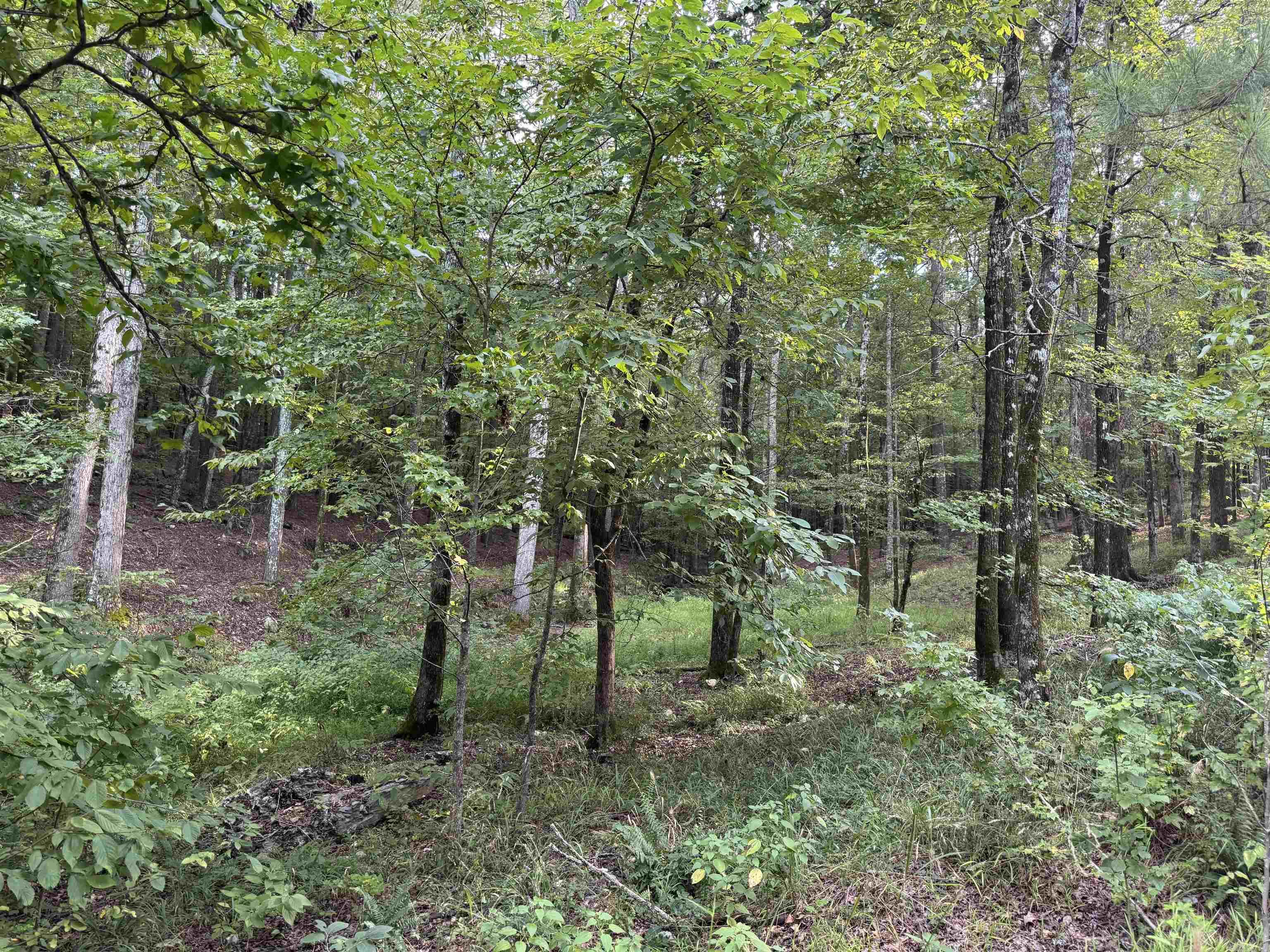 22 Purista Lane  Hot Springs Village, AR