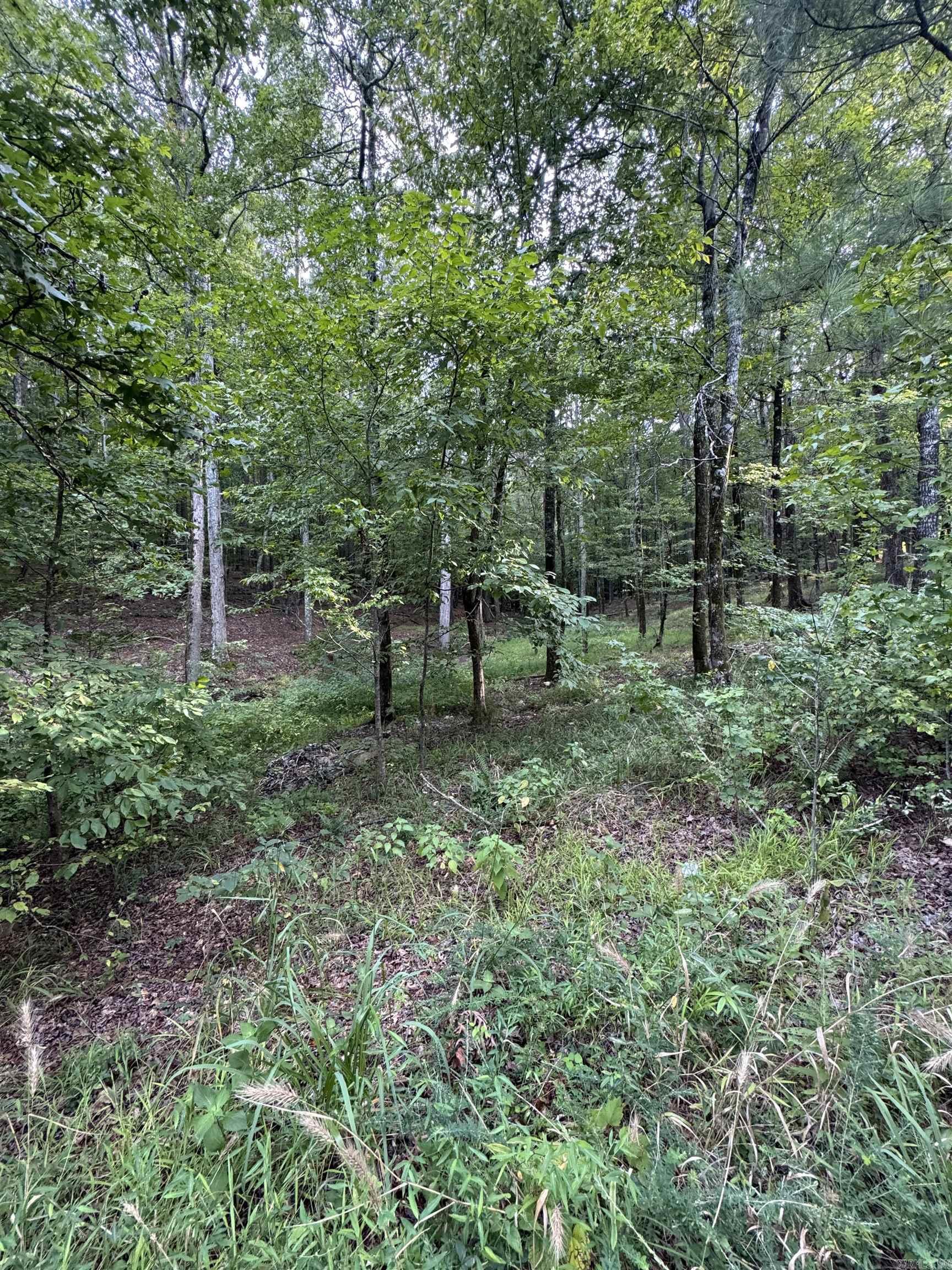 22 Purista Lane  Hot Springs Village, AR