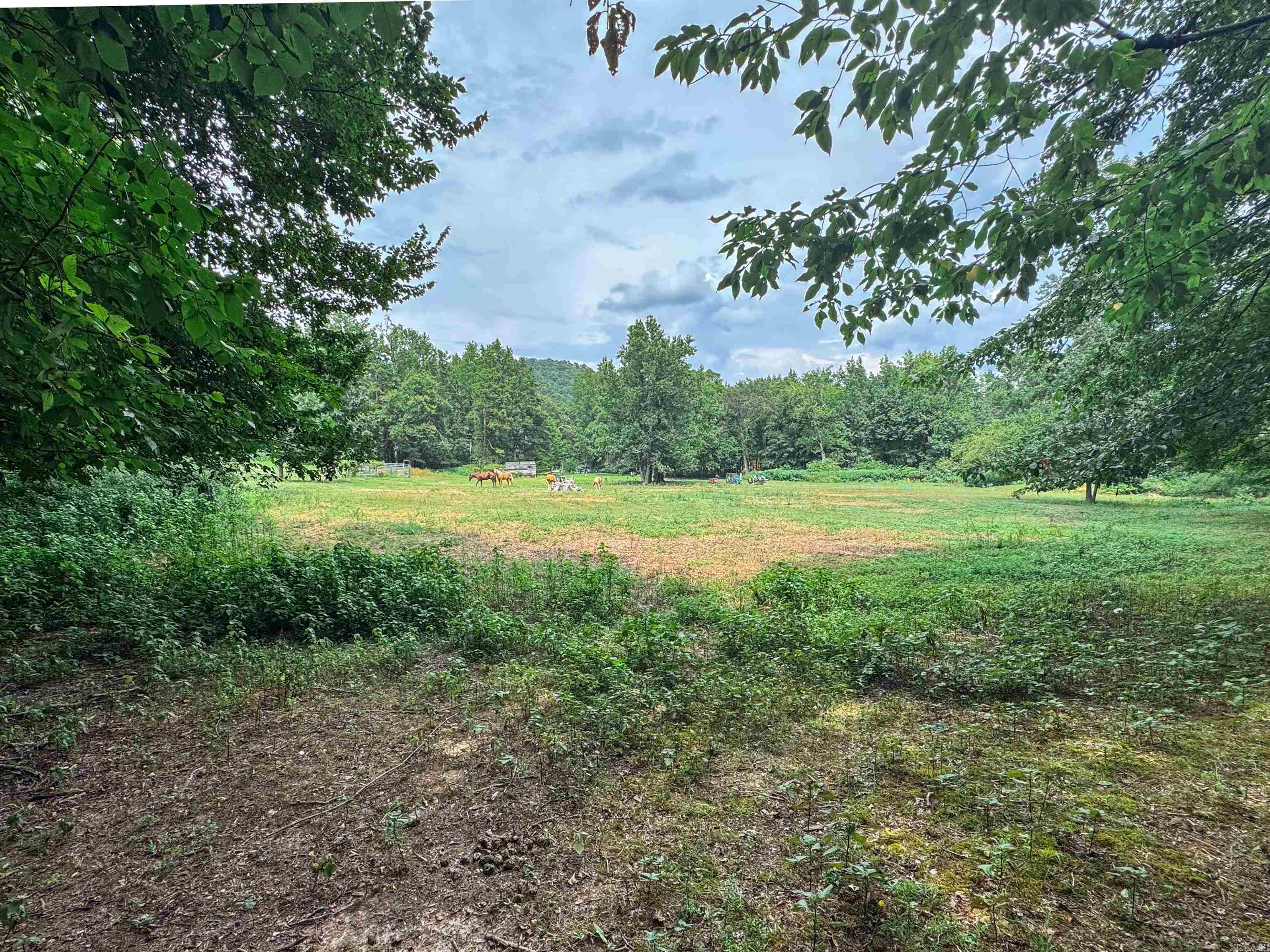 270 HWY  Mount Ida, AR