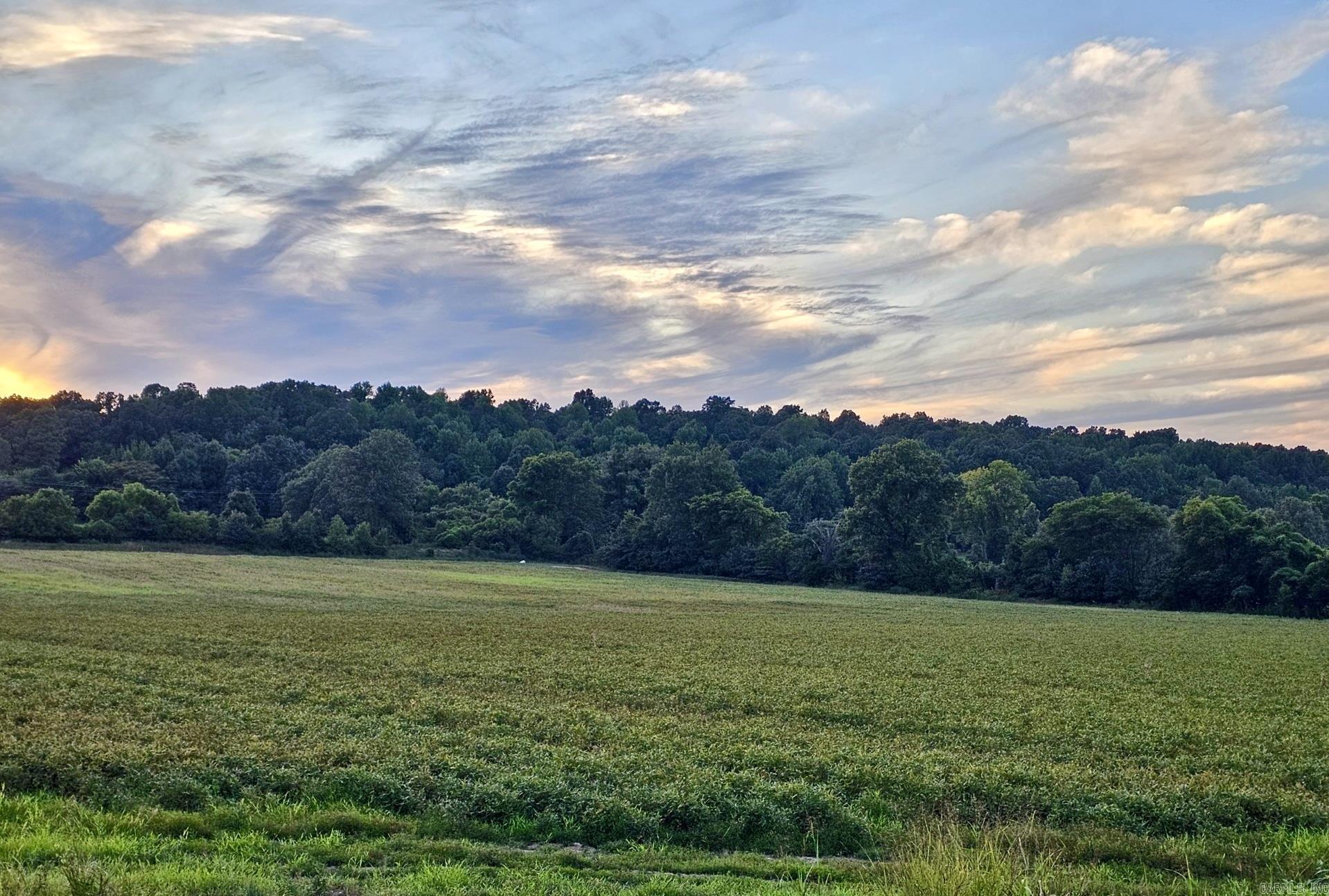 207 CR 478  Rector, AR