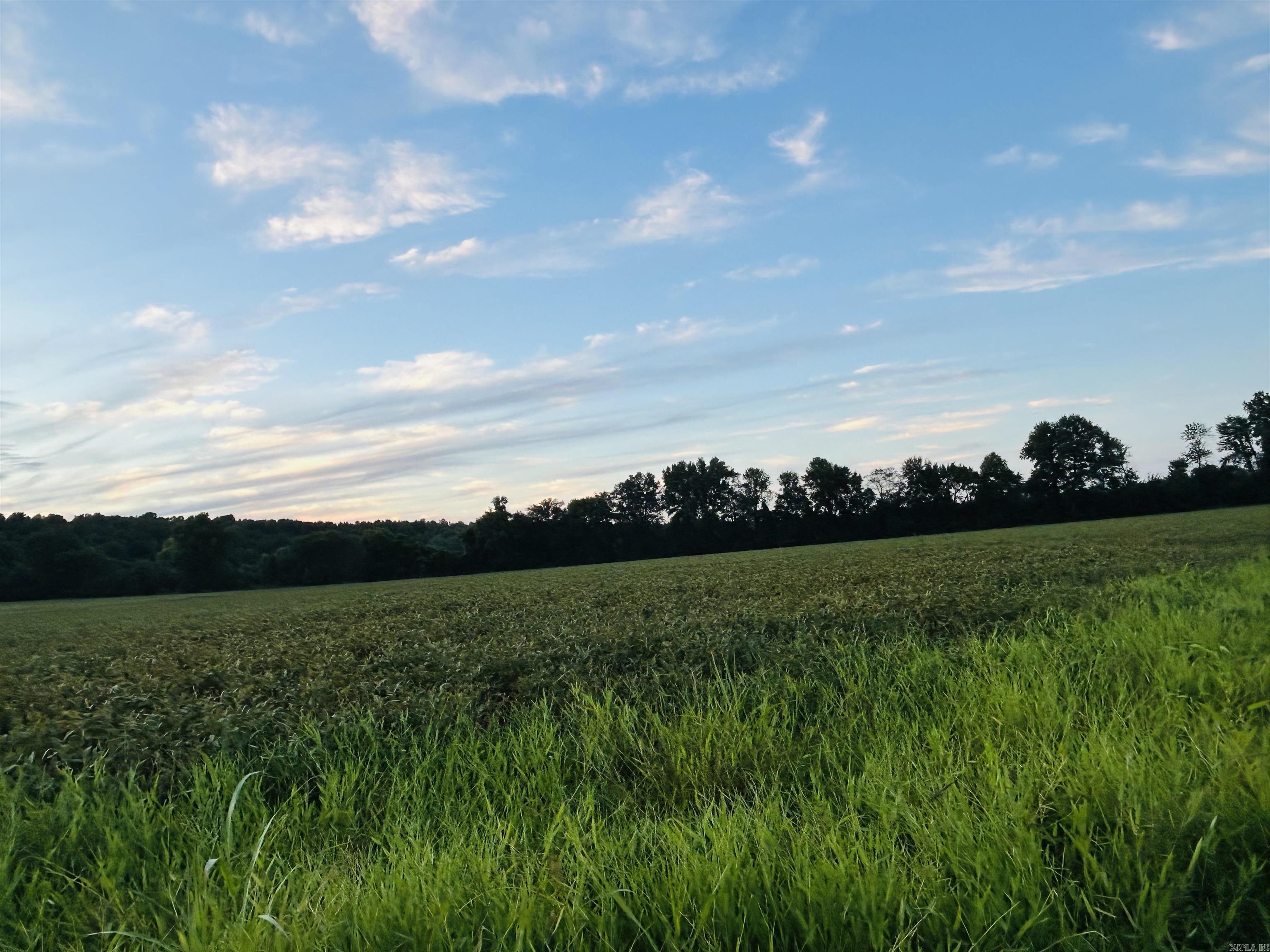 207 CR 478  Rector, AR