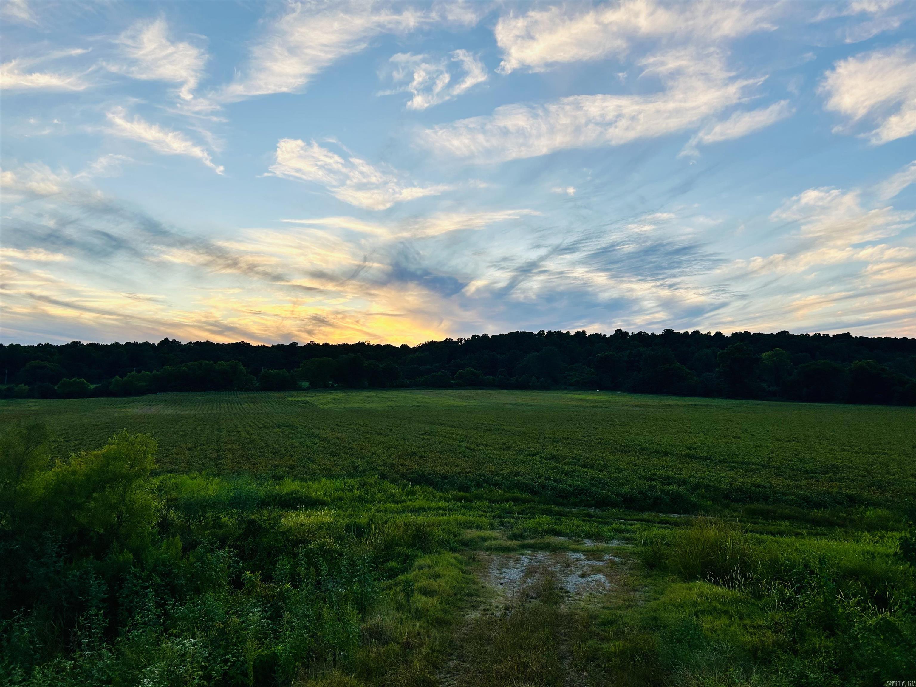 207 CR 478  Rector, AR