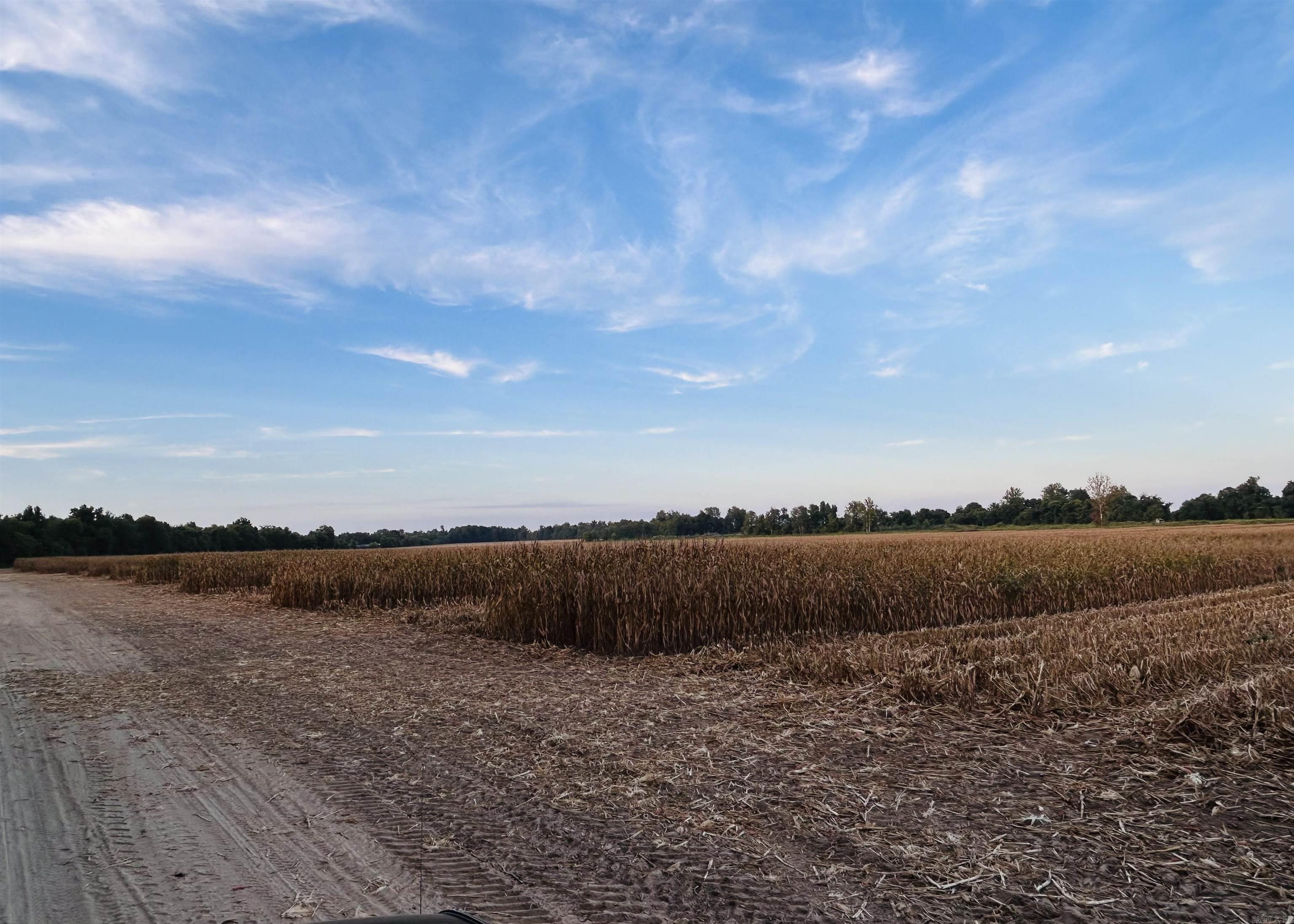 207 CR 478  Rector, AR