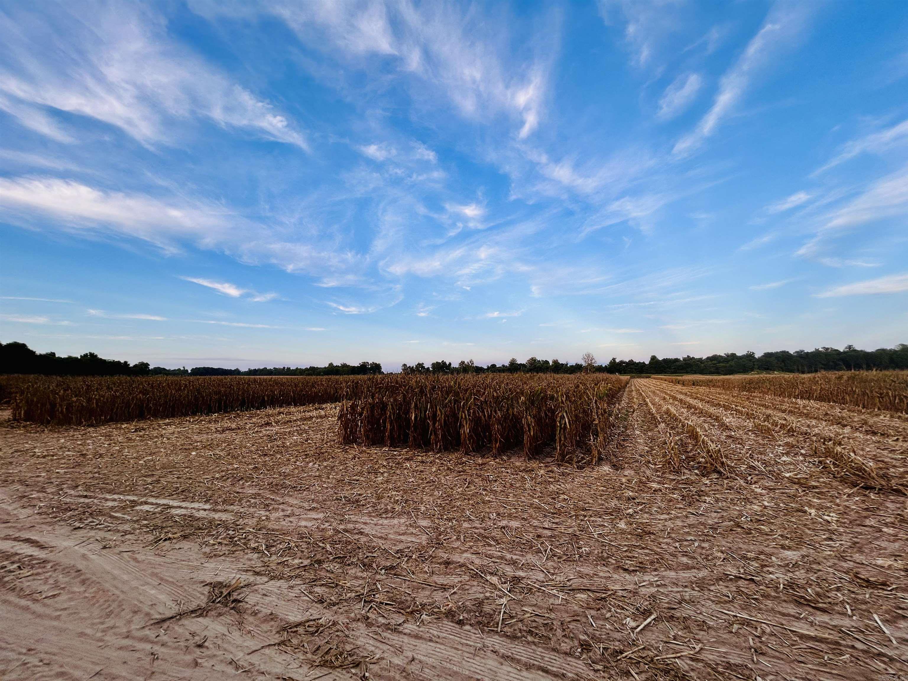 207 CR 478  Rector, AR