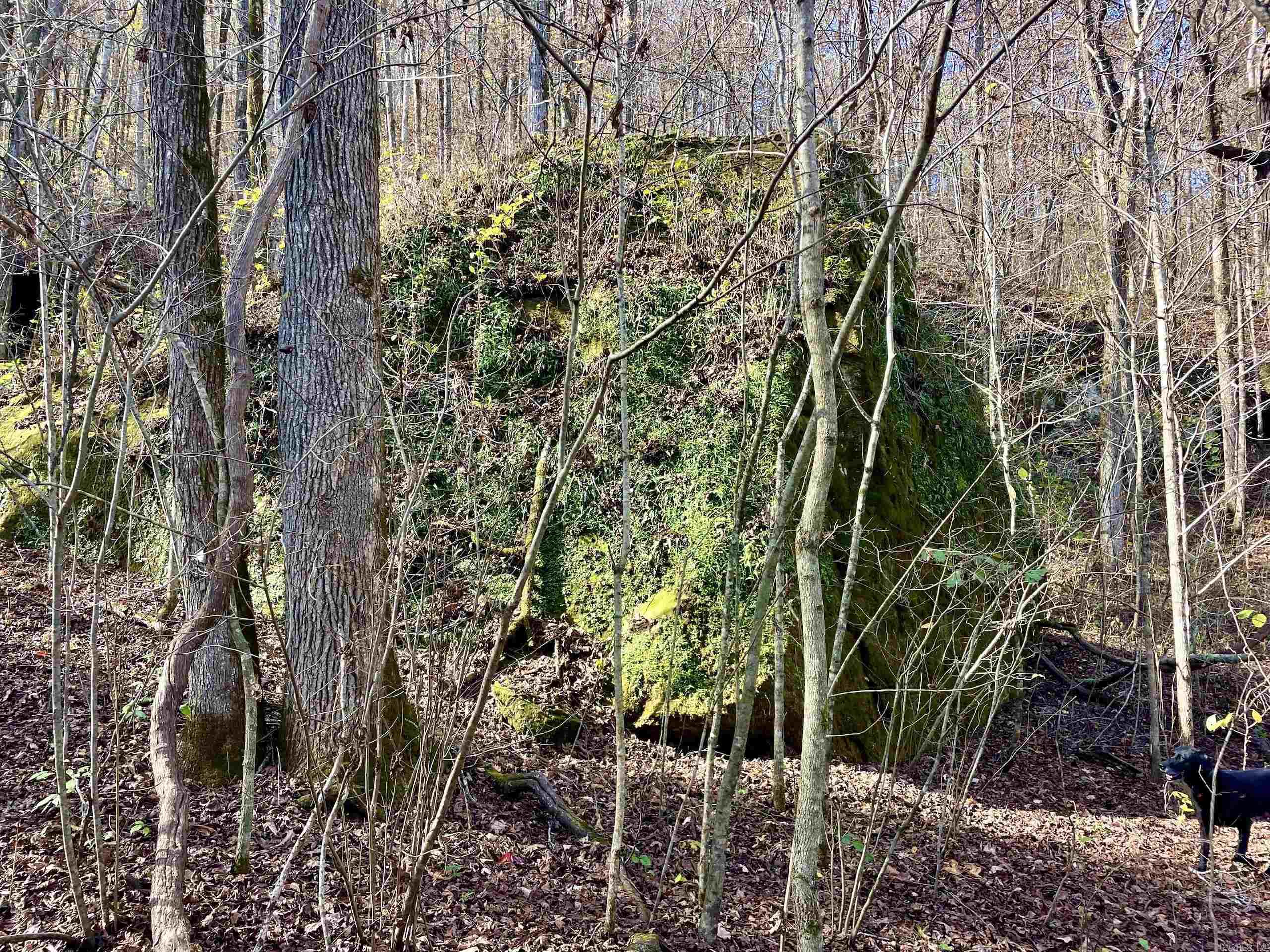 000 HWY 16 W  Clinton, AR