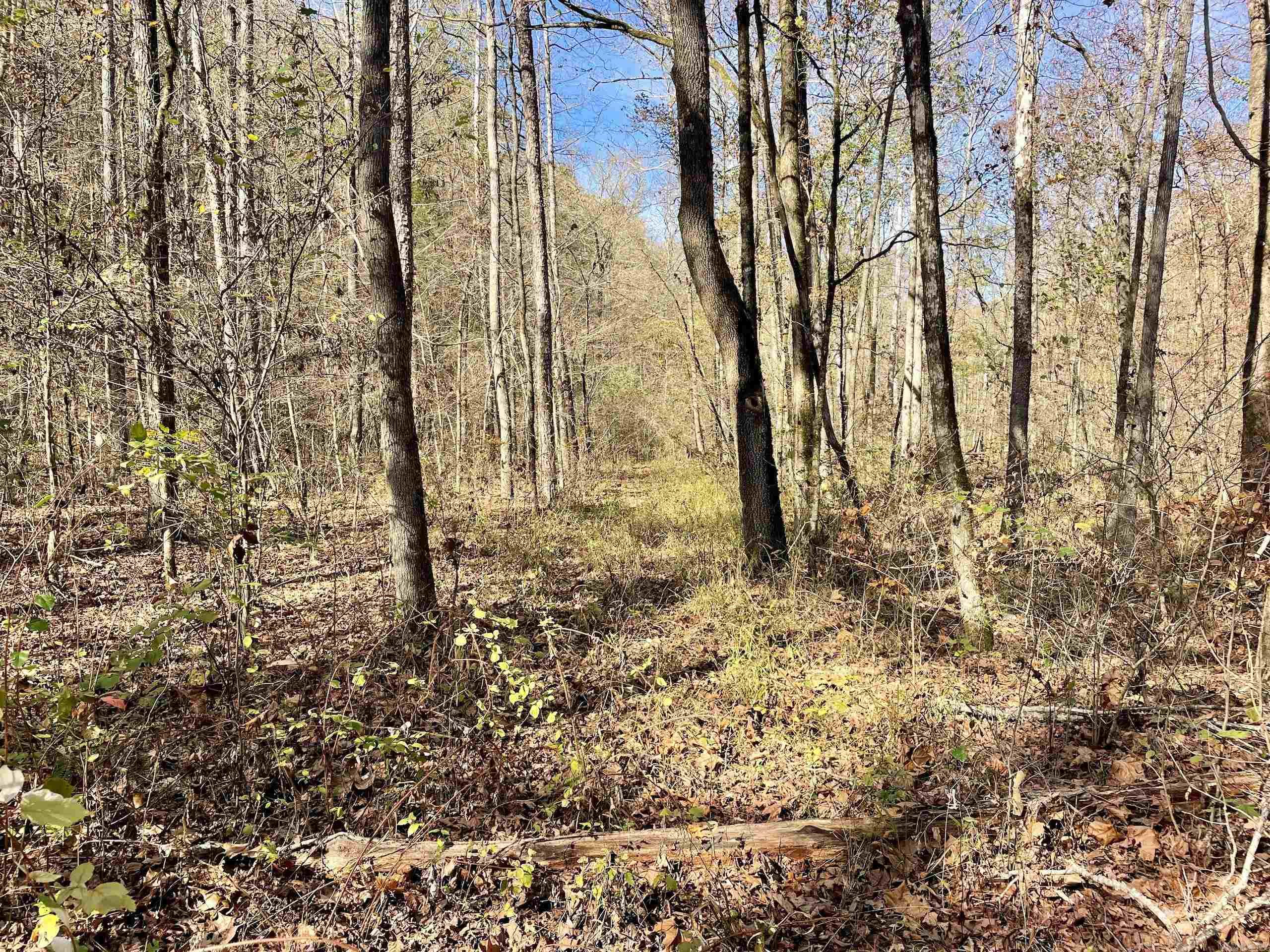 000 HWY 16 W  Clinton, AR