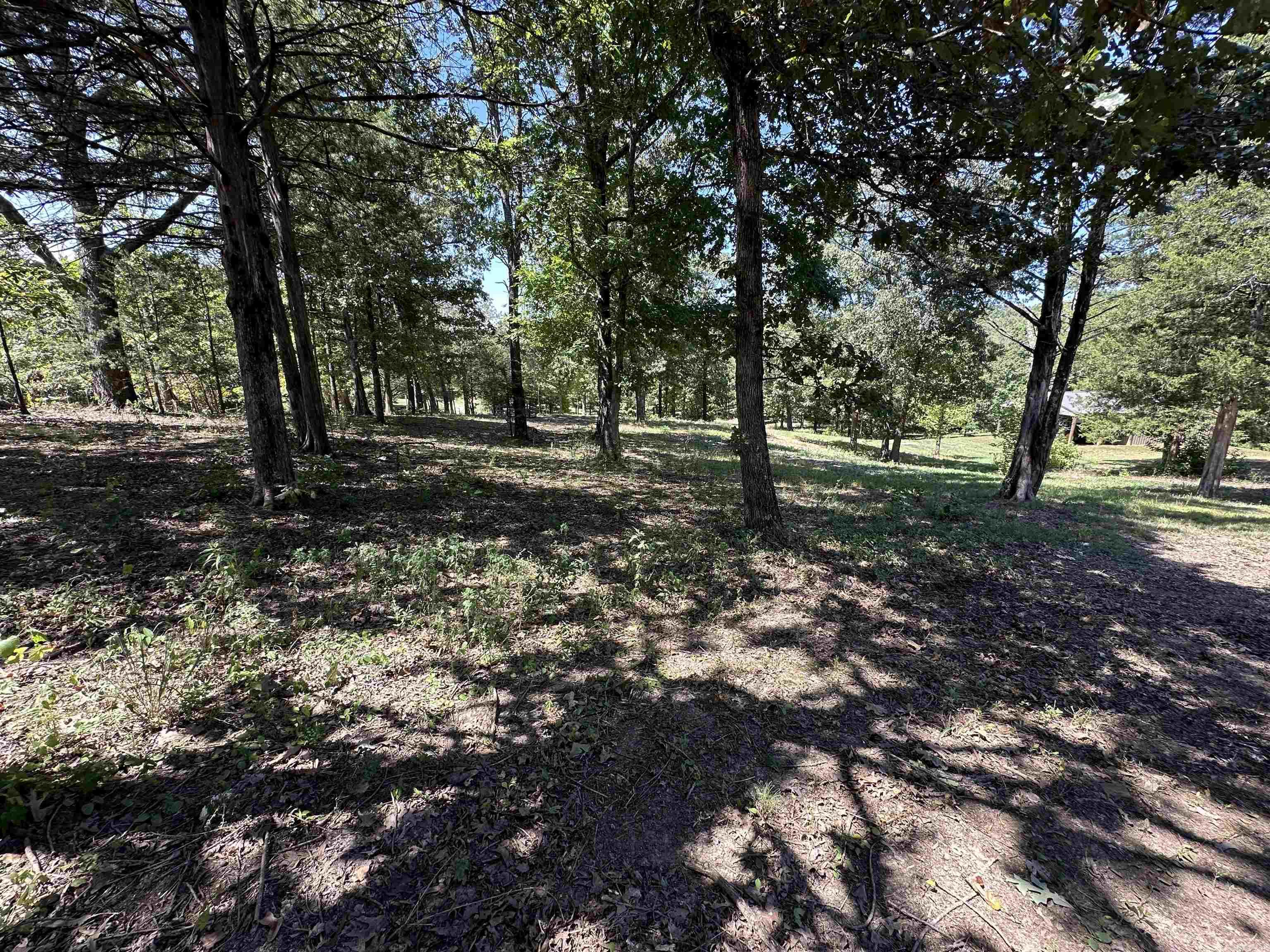 145 Law 296  Black Rock, AR