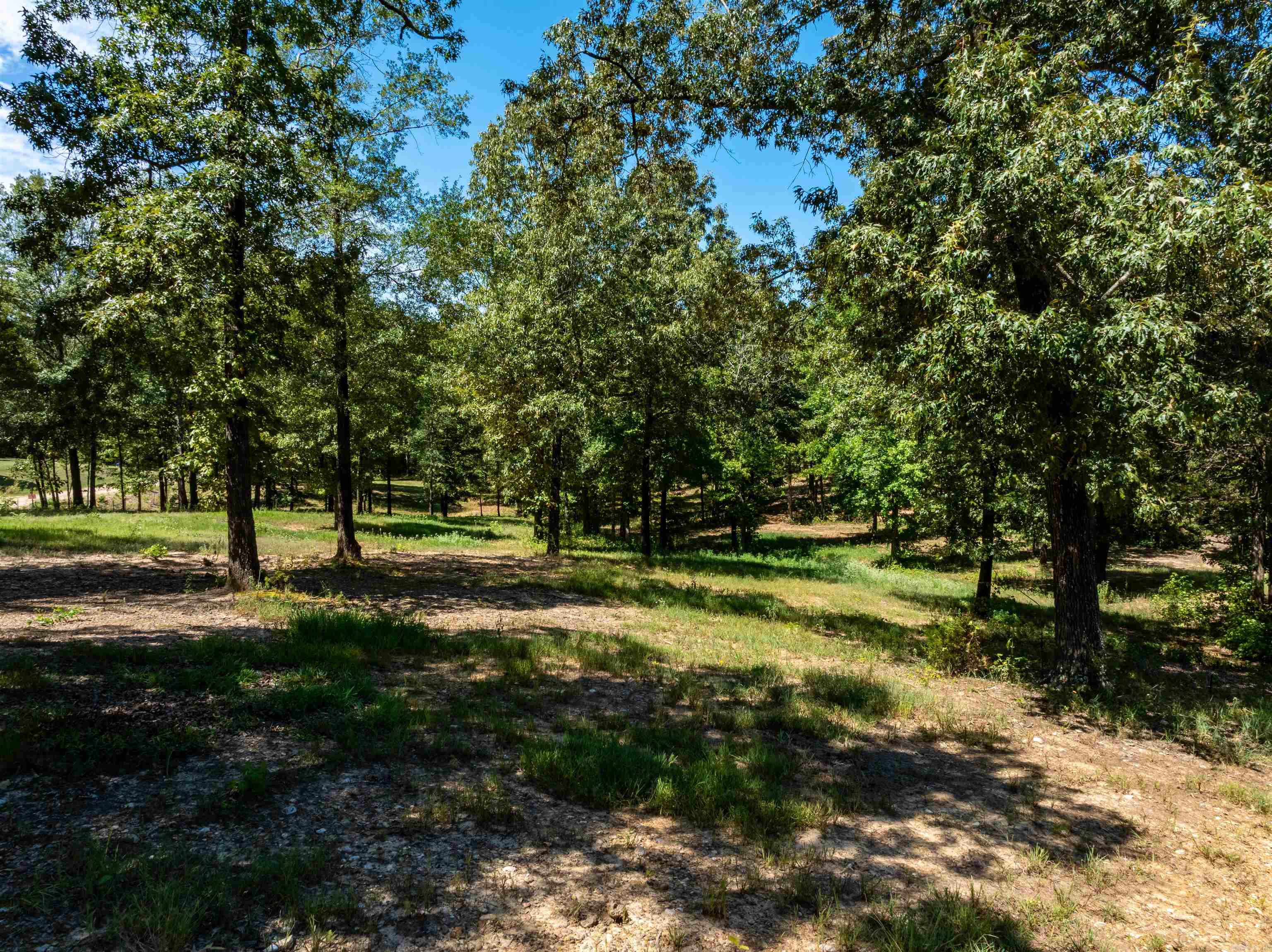 145 Law 296  Black Rock, AR
