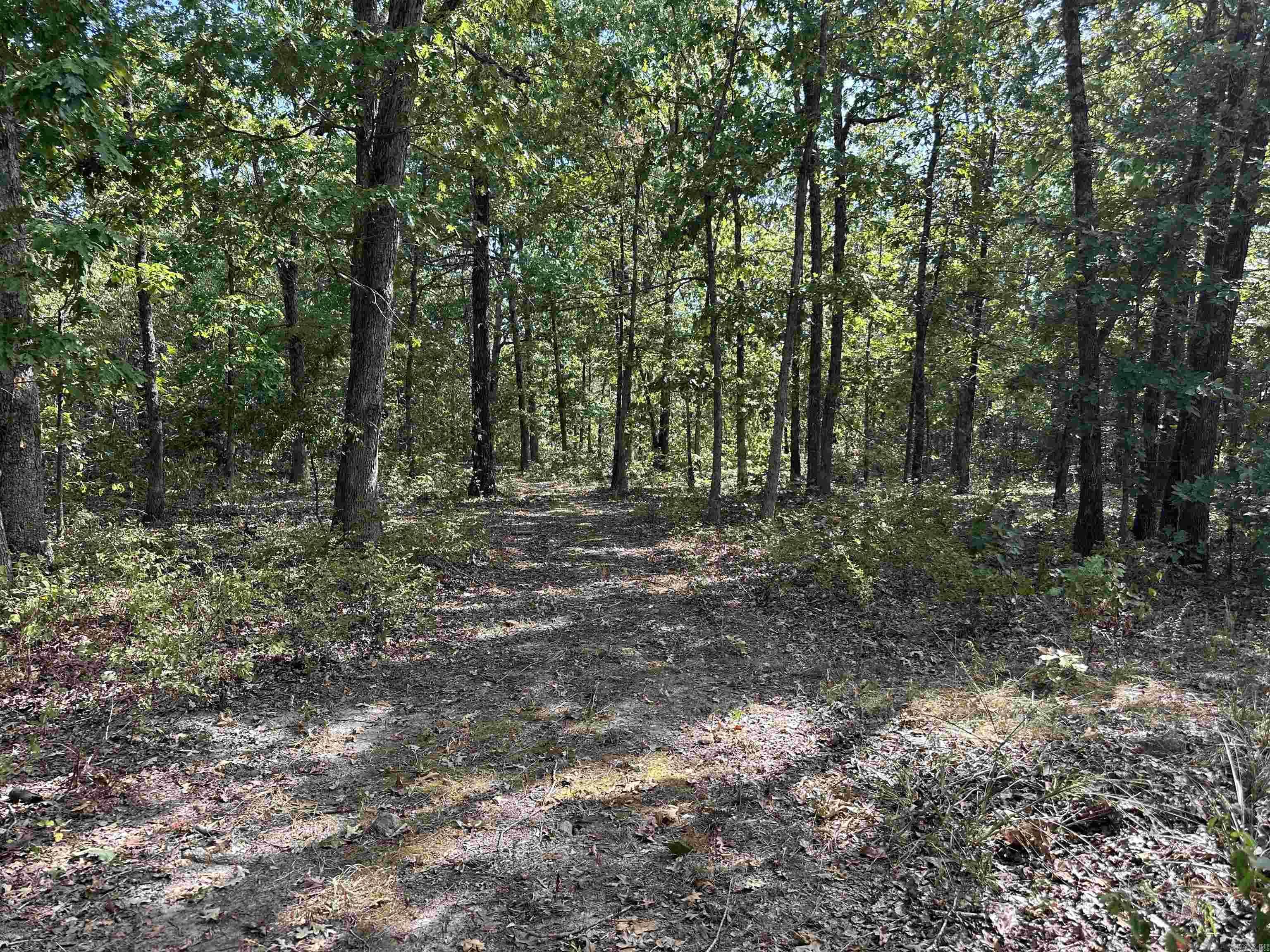 2215 AR Hwy 175  Mammoth Spring, AR