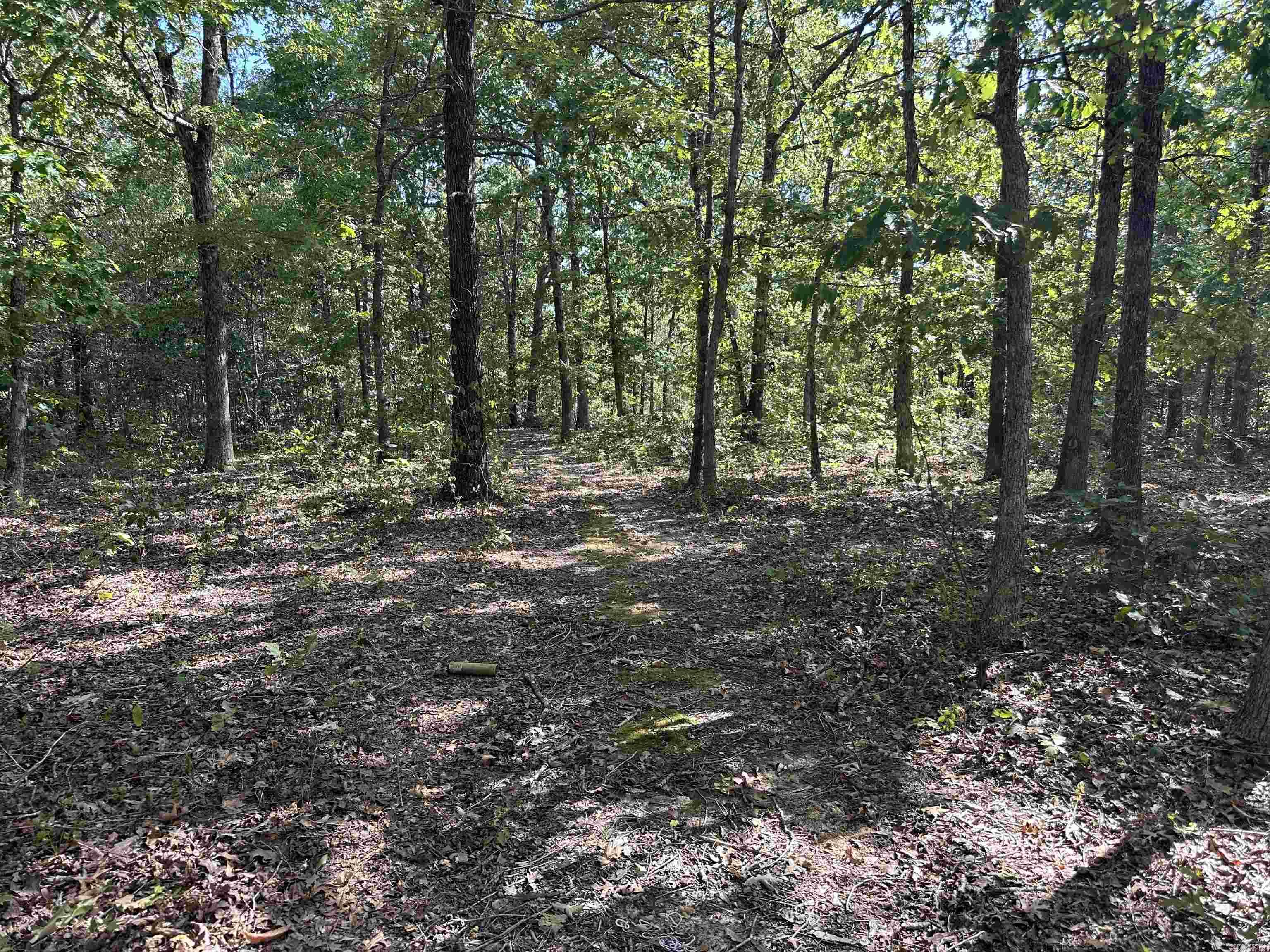 2215 AR Hwy 175  Mammoth Spring, AR