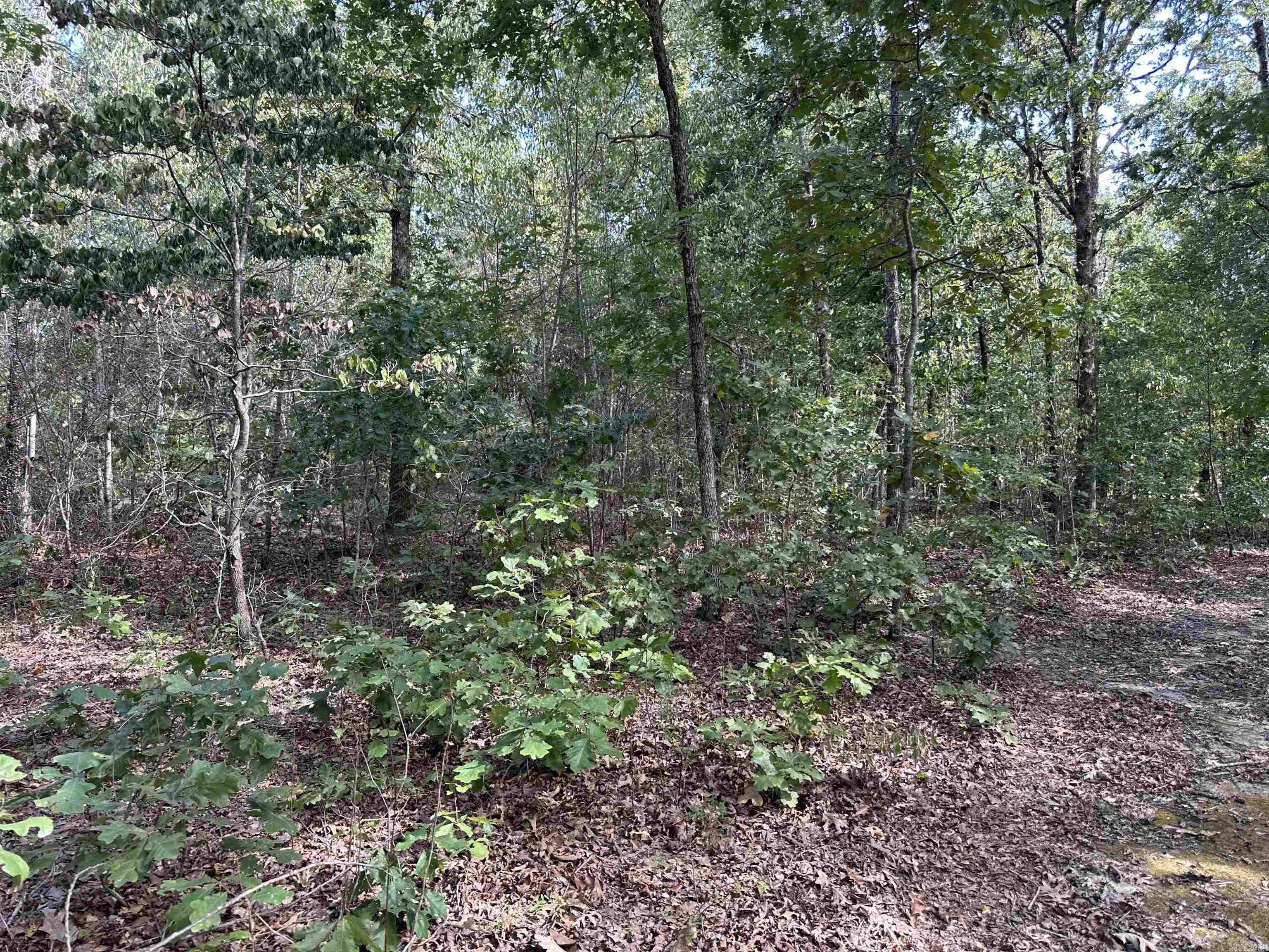 2215 AR Hwy 175  Mammoth Spring, AR
