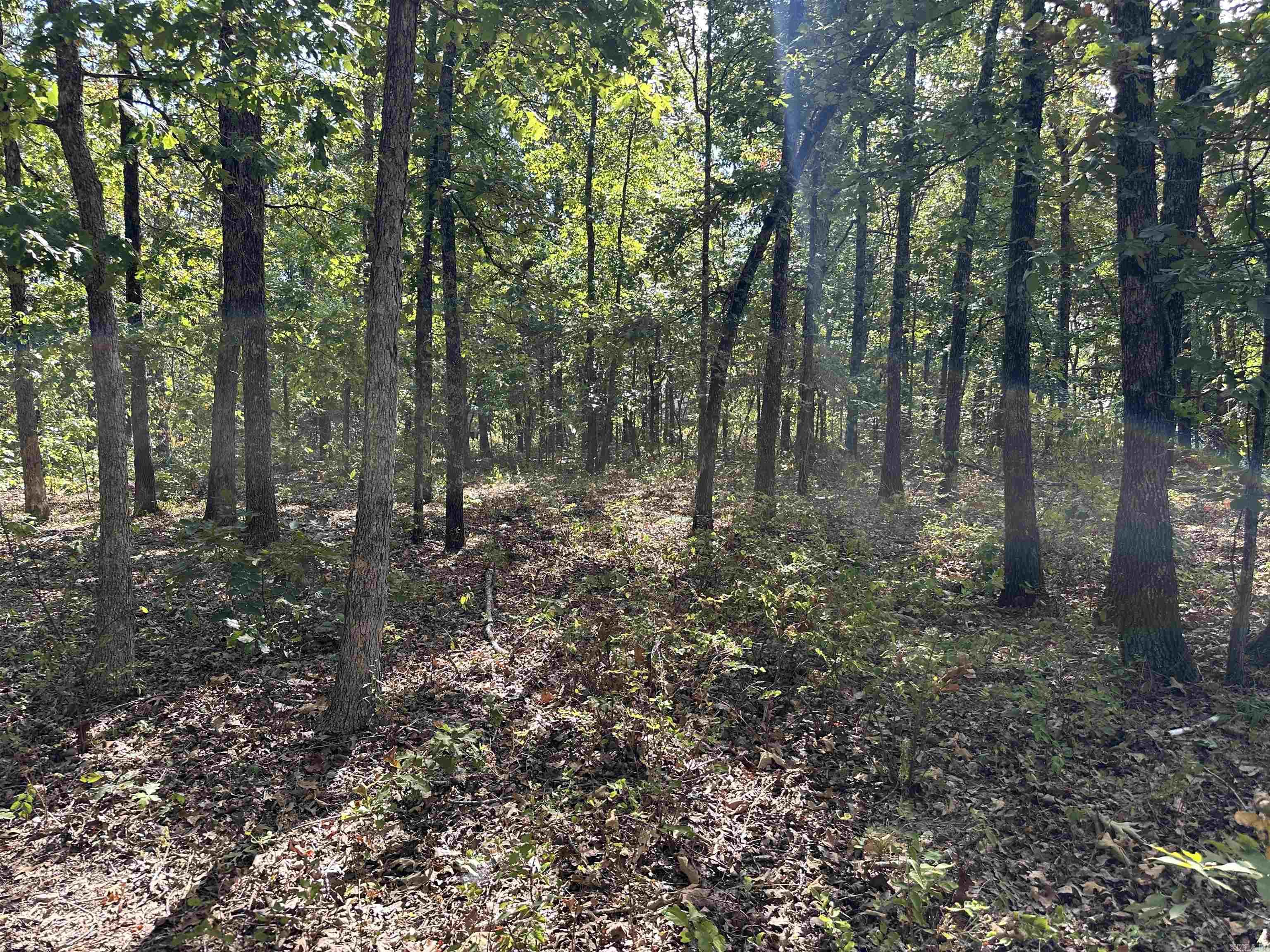 2215 AR Hwy 175  Mammoth Spring, AR