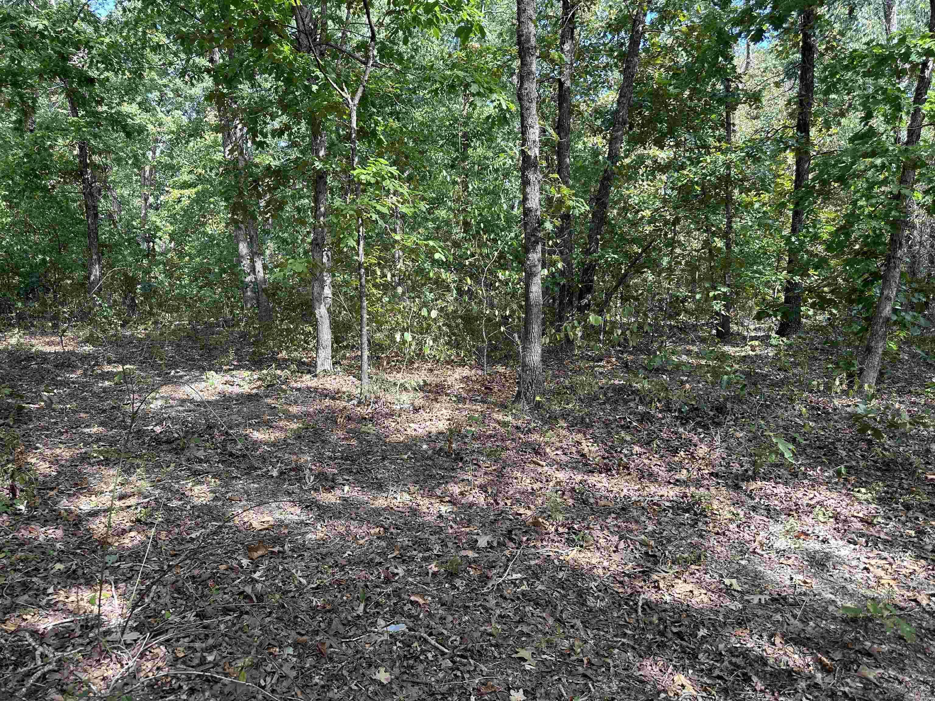 2215 AR Hwy 175  Mammoth Spring, AR