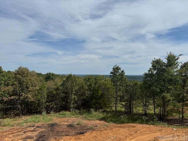 69 Summer Sky Drive  Greenbrier, AR