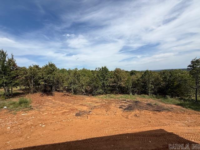 69 Summer Sky Drive  Greenbrier, AR