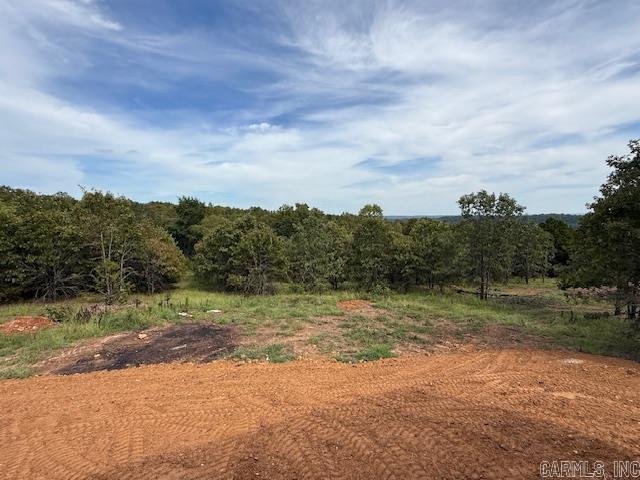 73 Summer Sky Drive  Greenbrier, AR