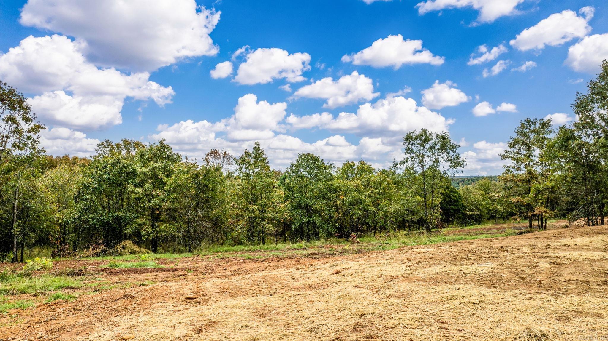 73 Summer Sky Drive  Greenbrier, AR